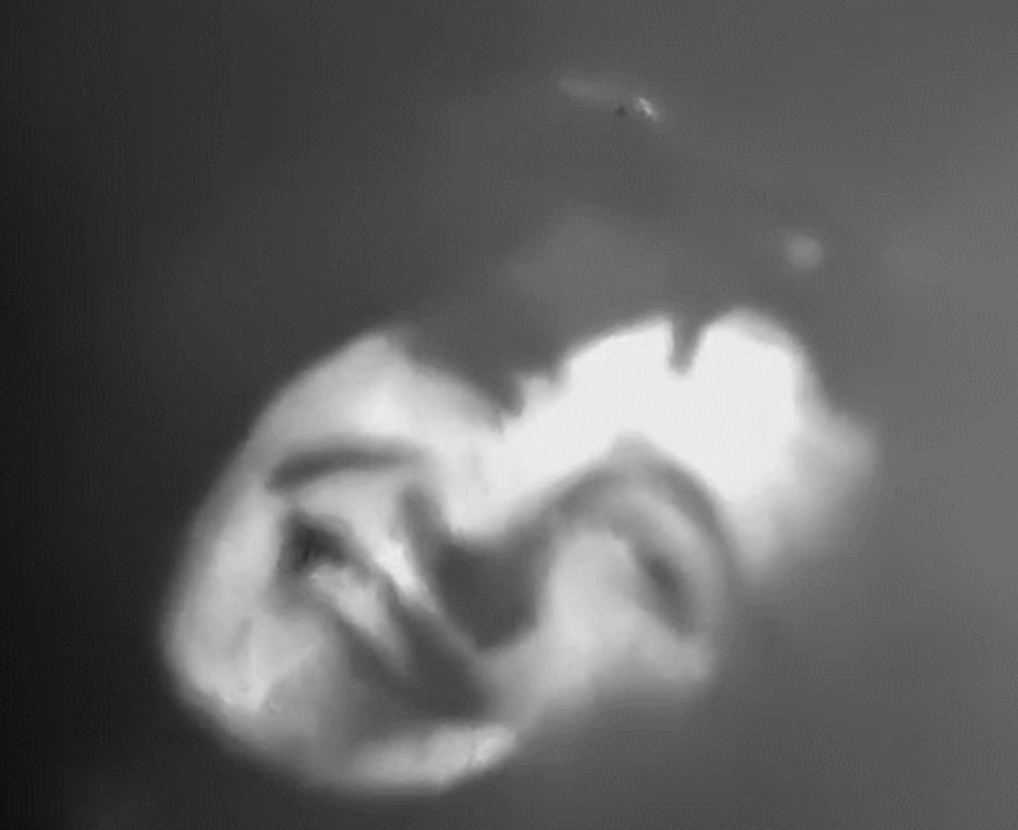 Фото участника Смолин Тимофей Валерьевич