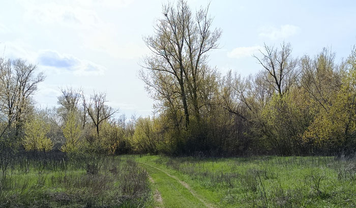 Бахирева Маргарита Алеексеевна