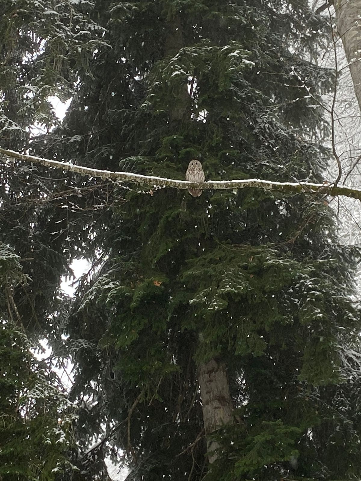 Фото участника: Марина Дунаева