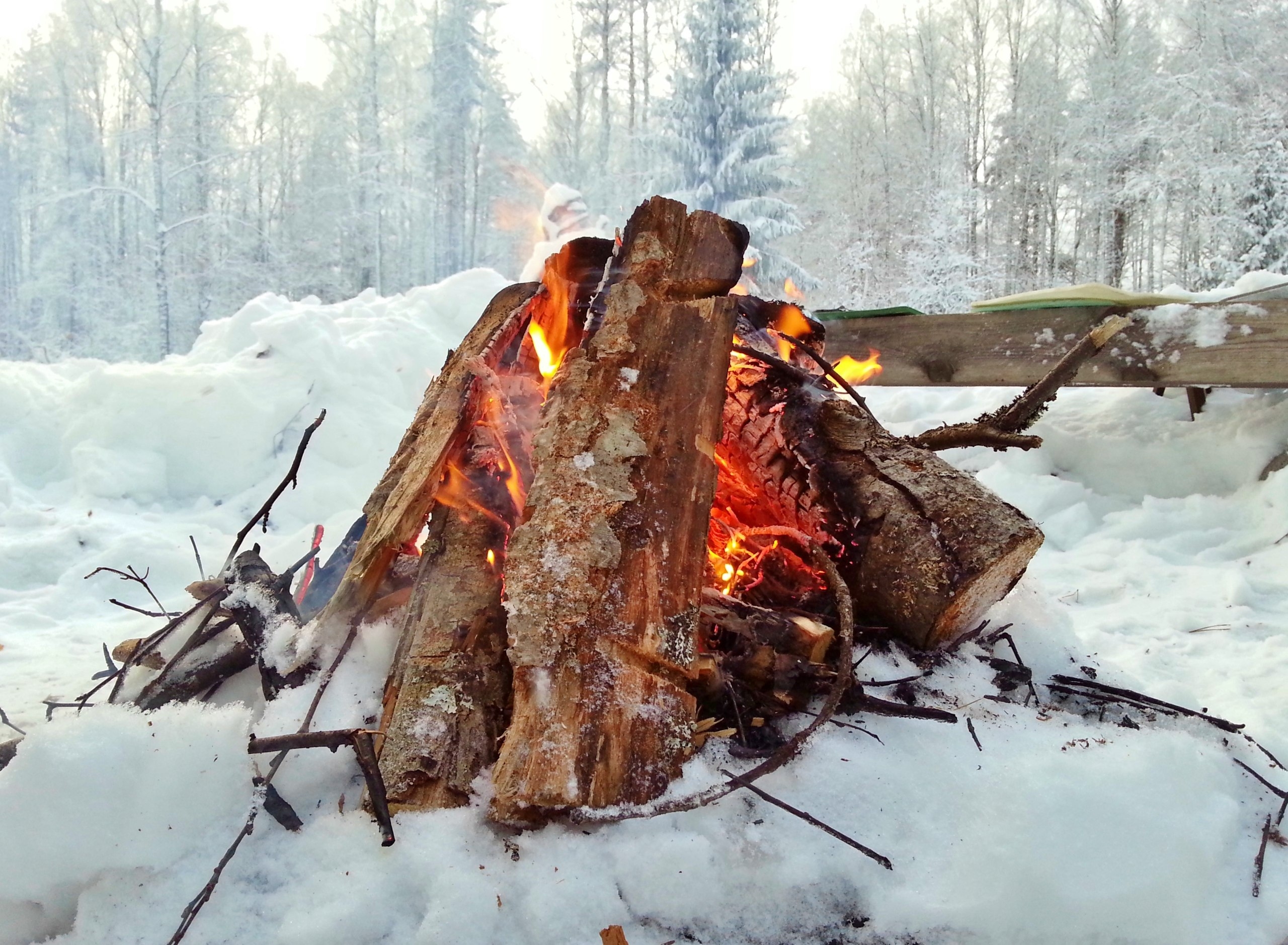 Фото участника: Иванова Мария