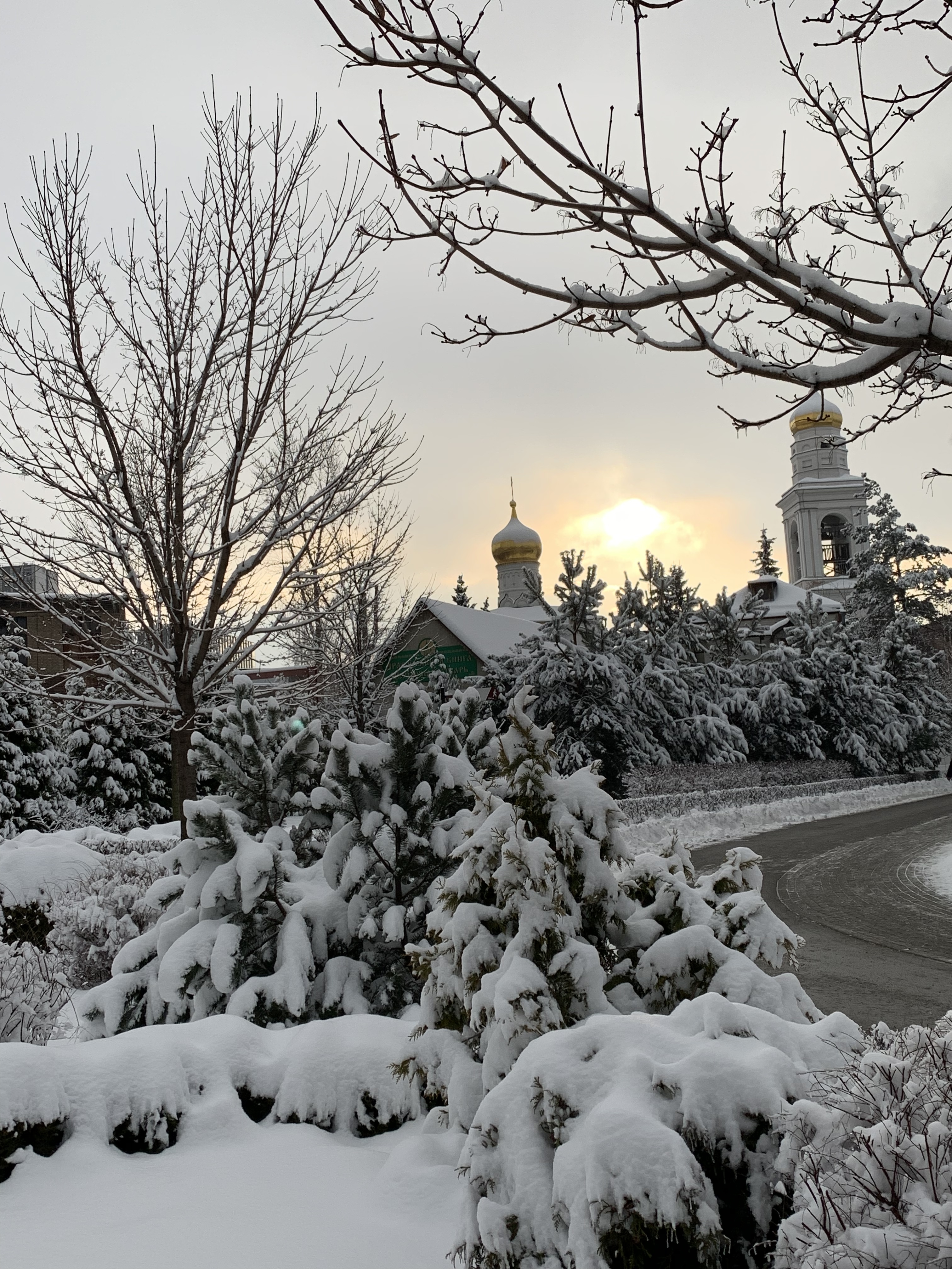 Фото участника: Марина Попова