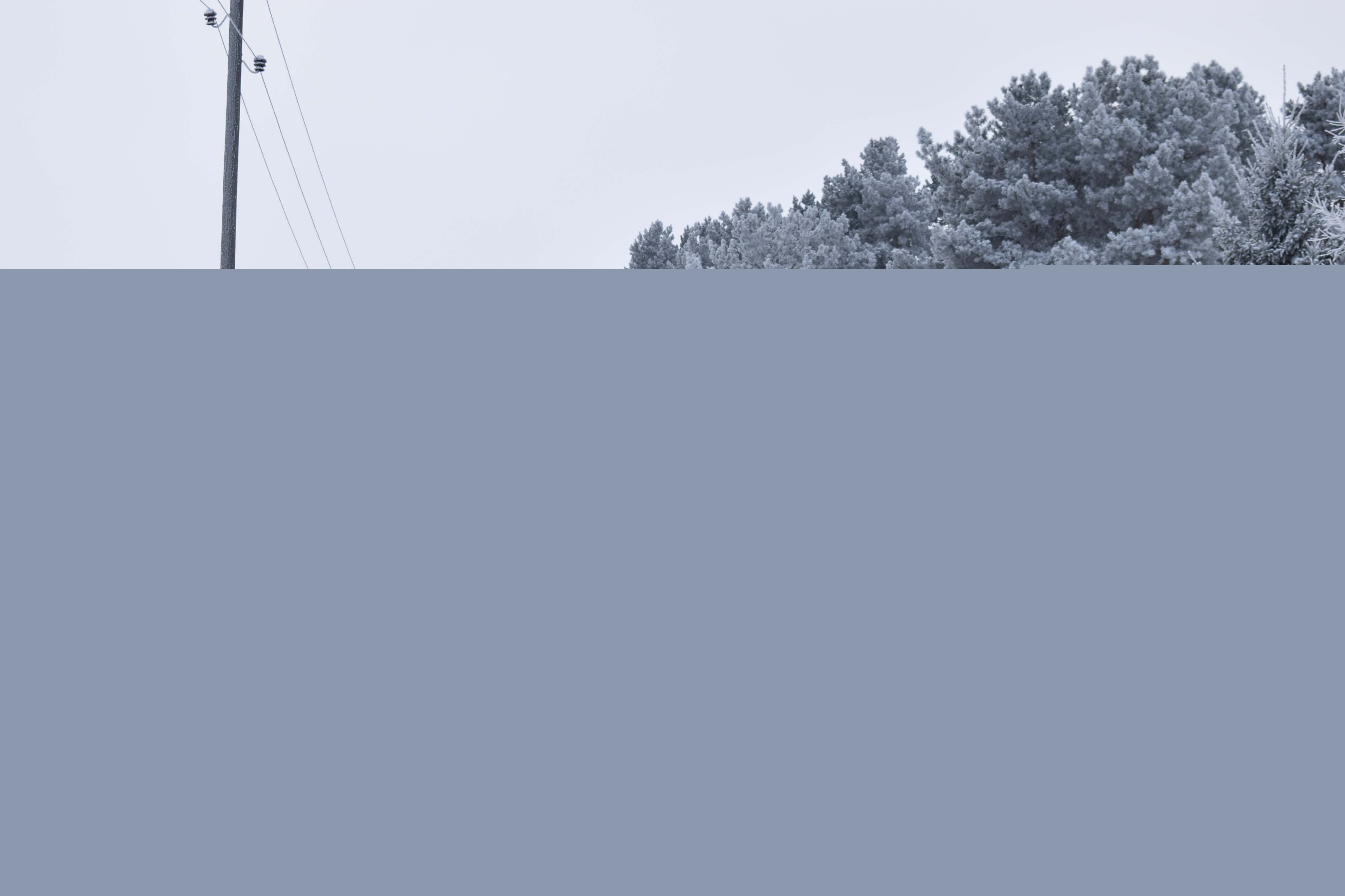 Фото участника: Лунёва Валерия