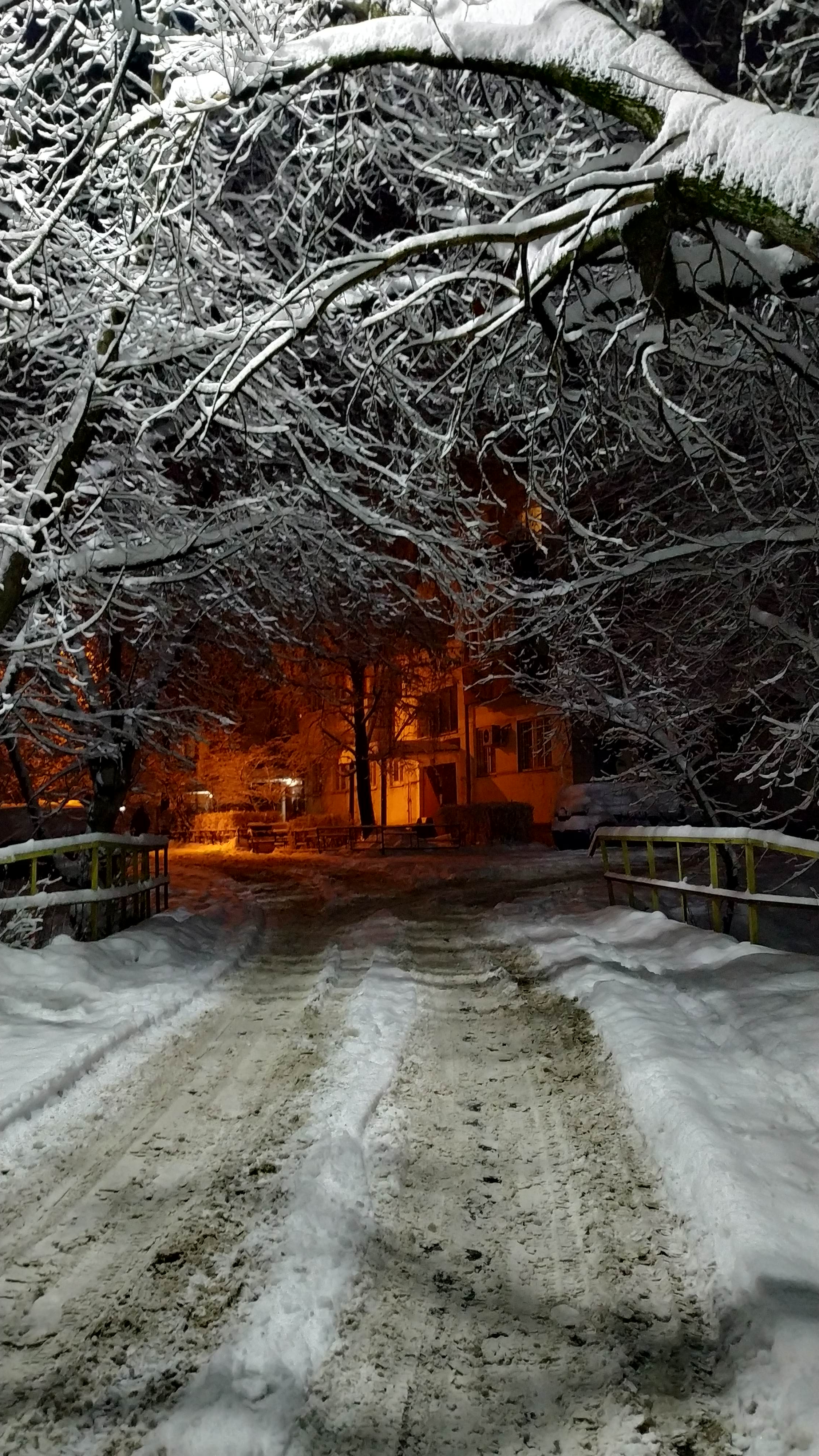 Фото участника: Мария Нехорошева