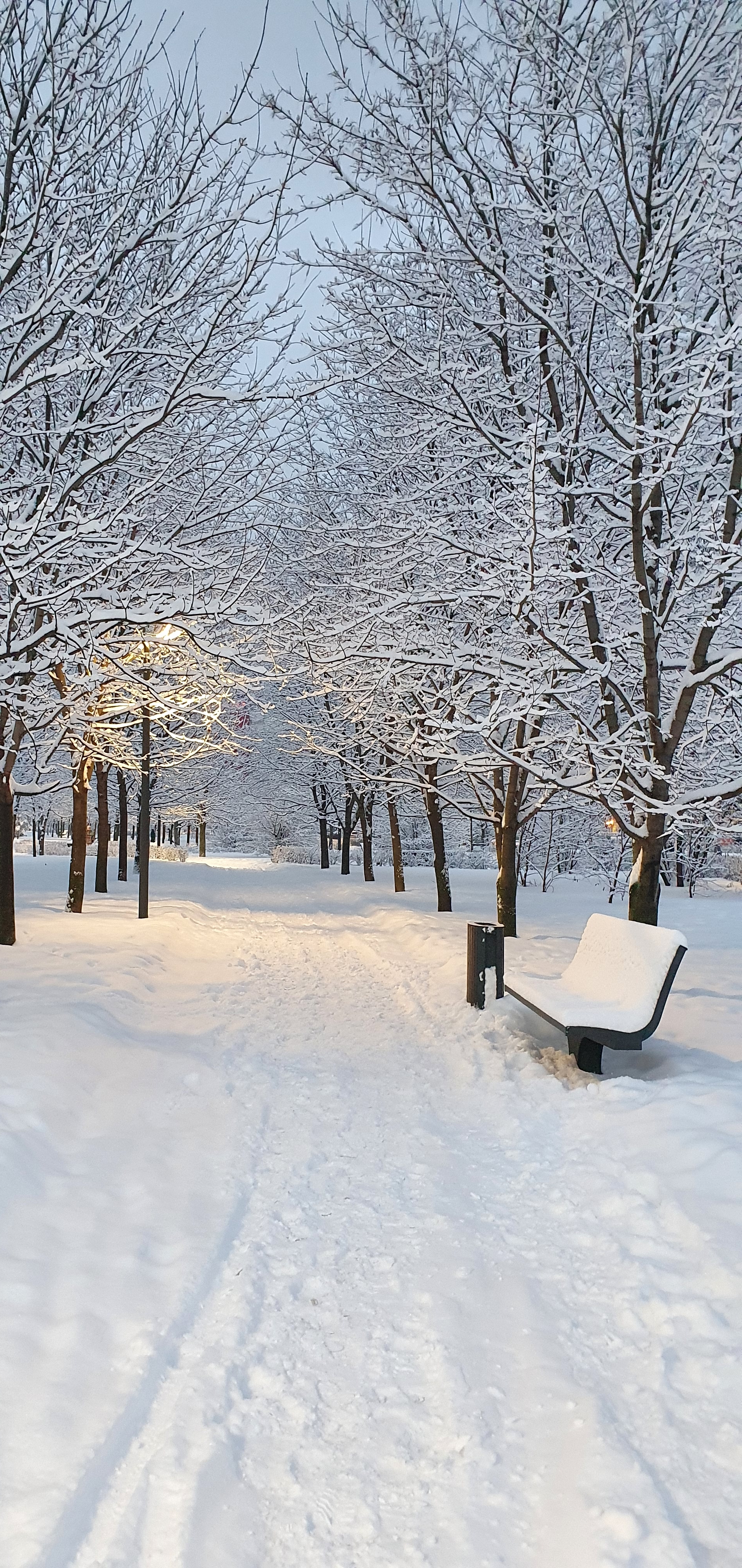 Фото участника: Наталия Смирнова