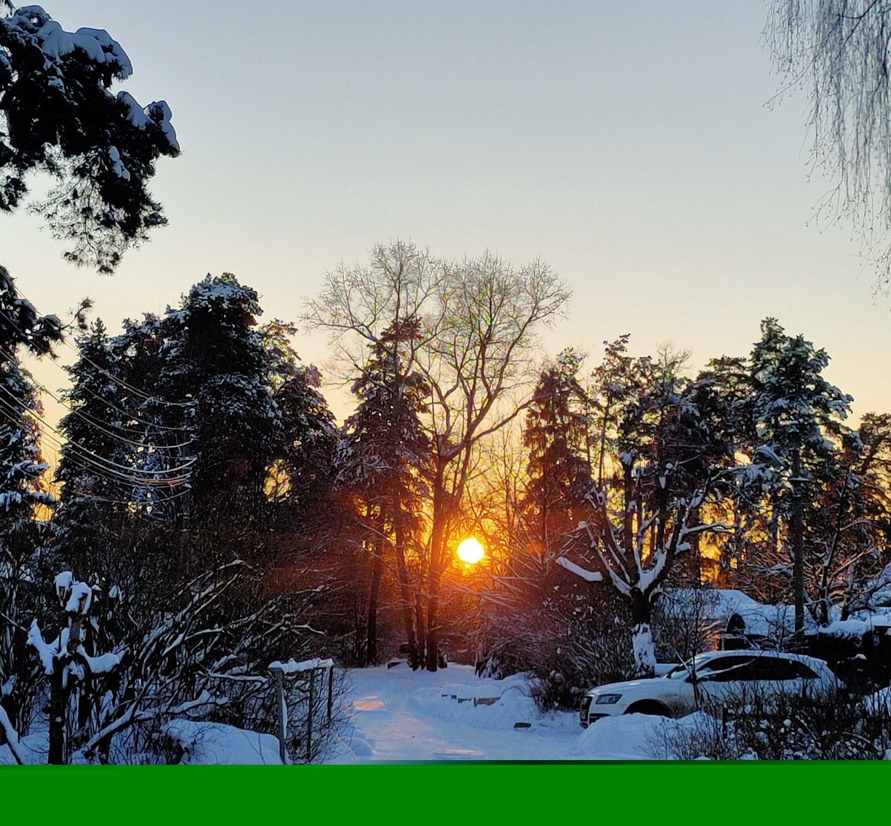 Фото участника: Евгений Рябушев