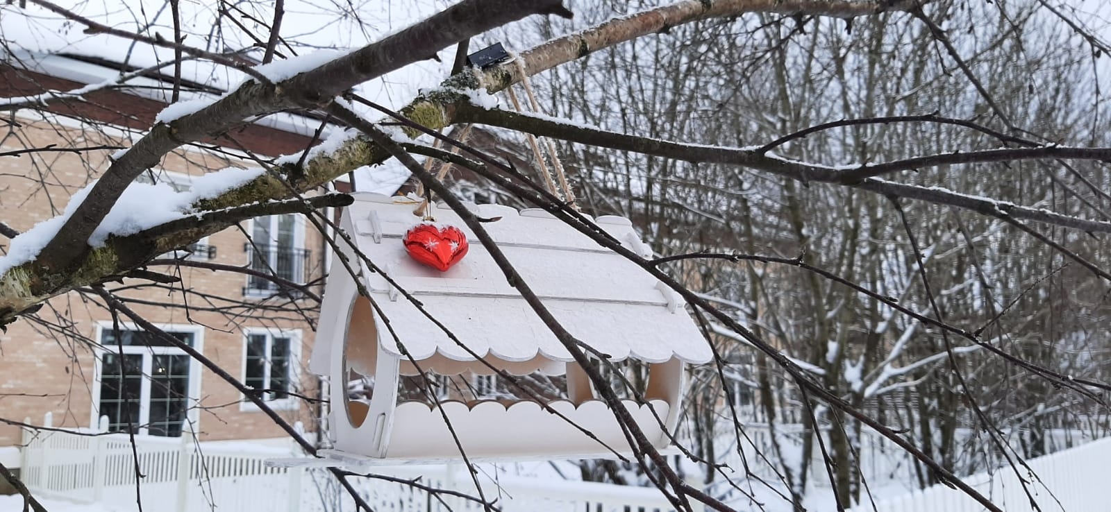 Фото участника: Наталья Медведева