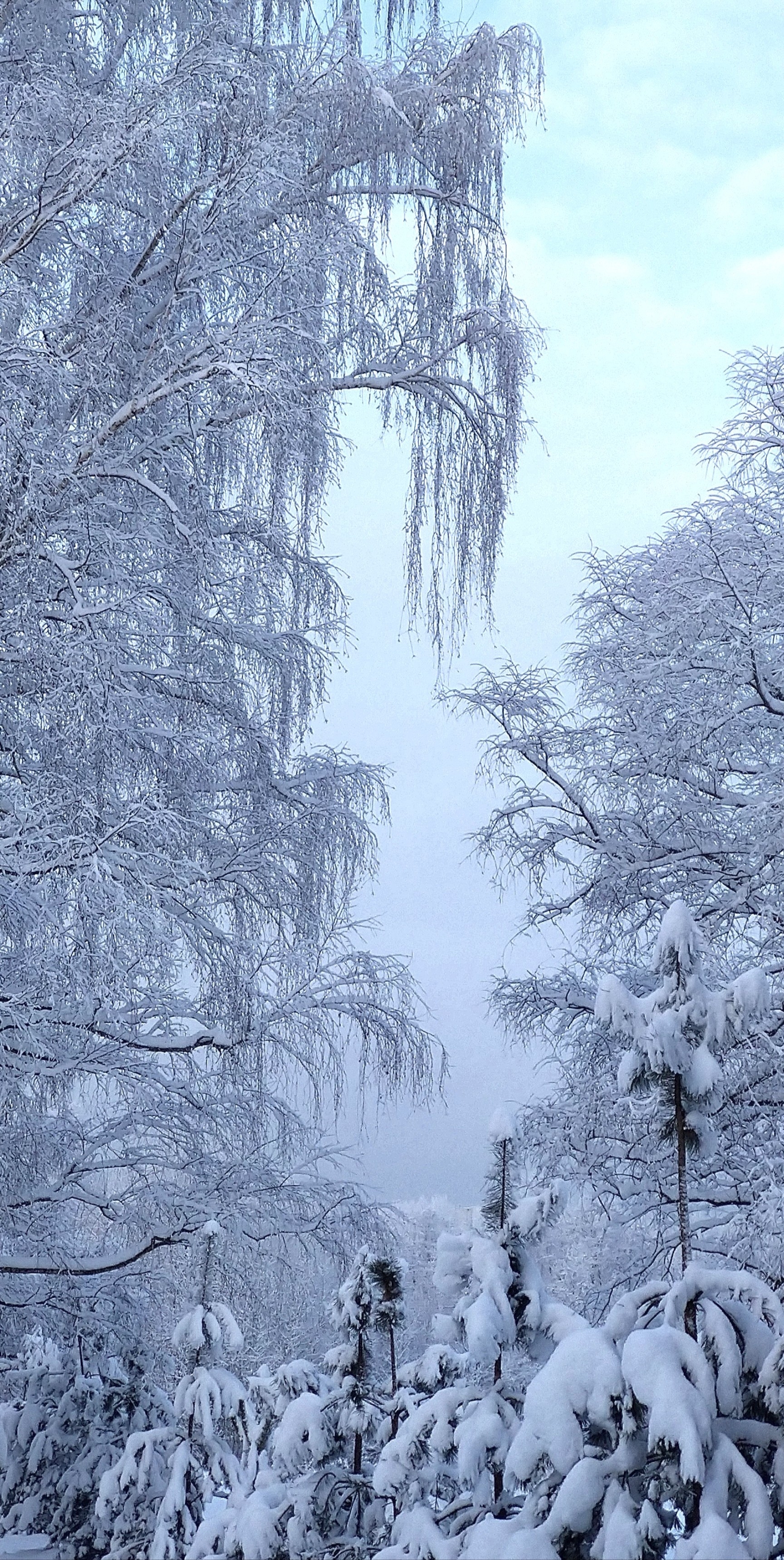 Фото участника: Александрова Ирина