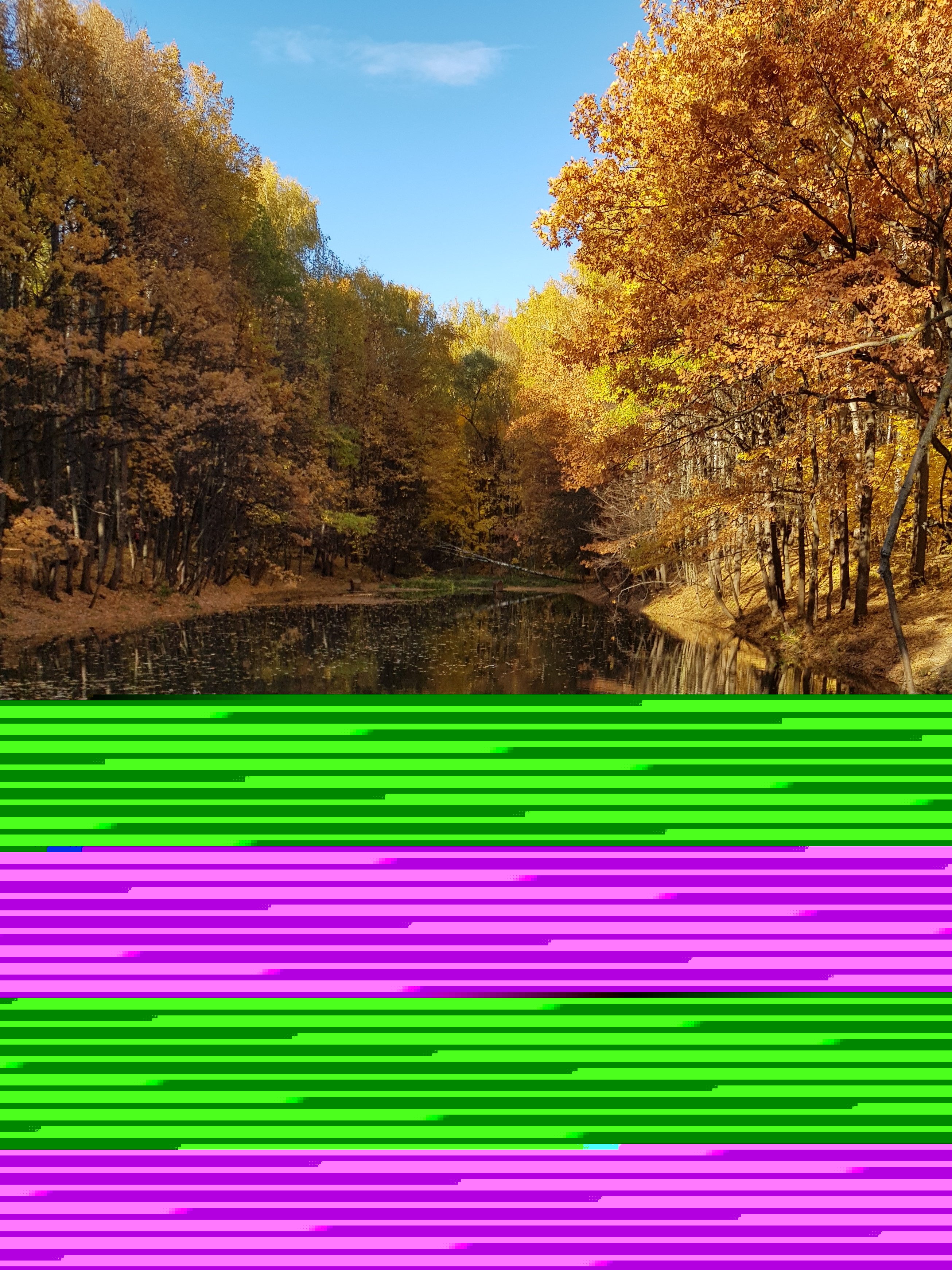 Фото участника: Татьяна Терехова