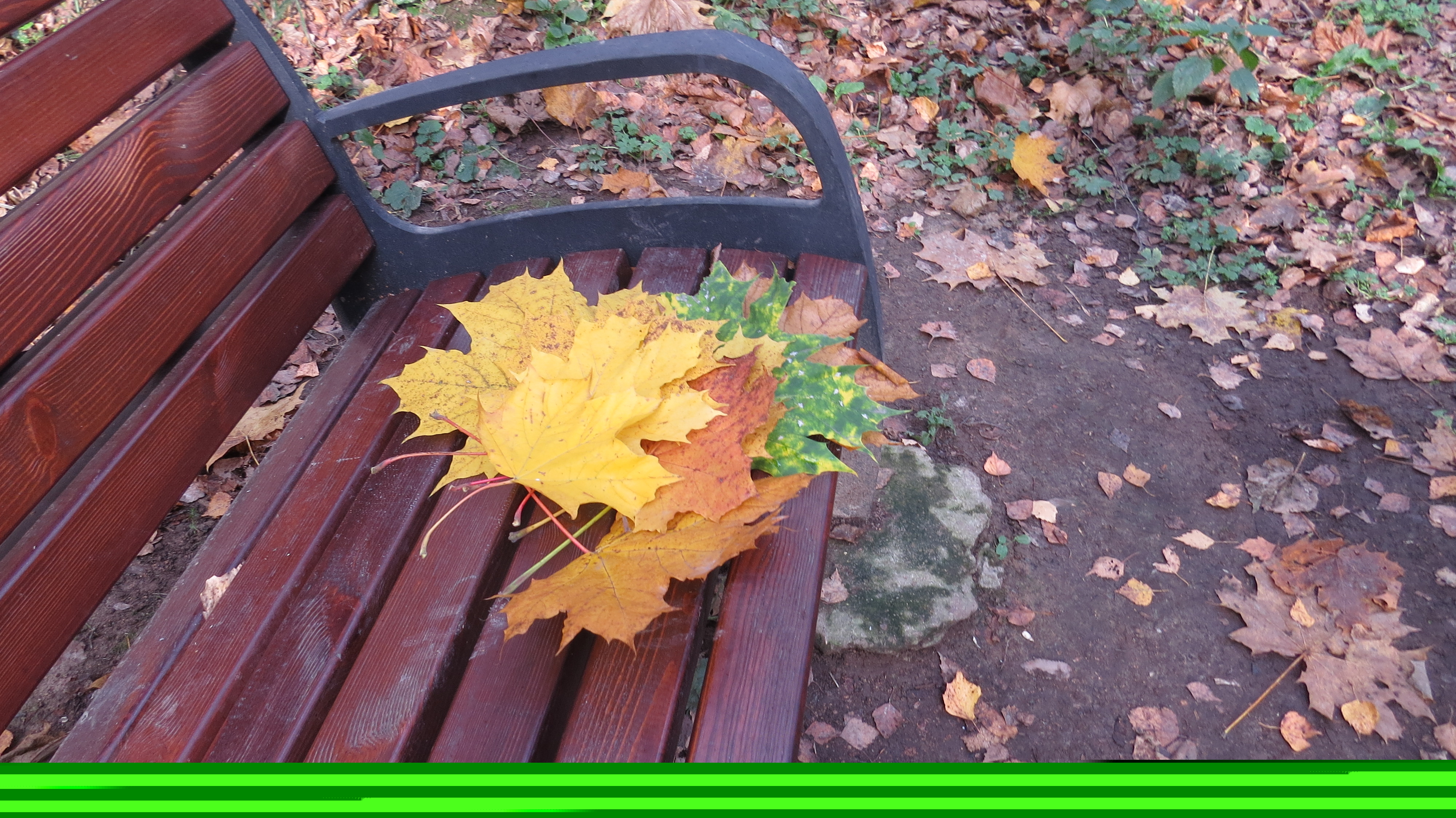 Фото участника: Епифанова Лиза