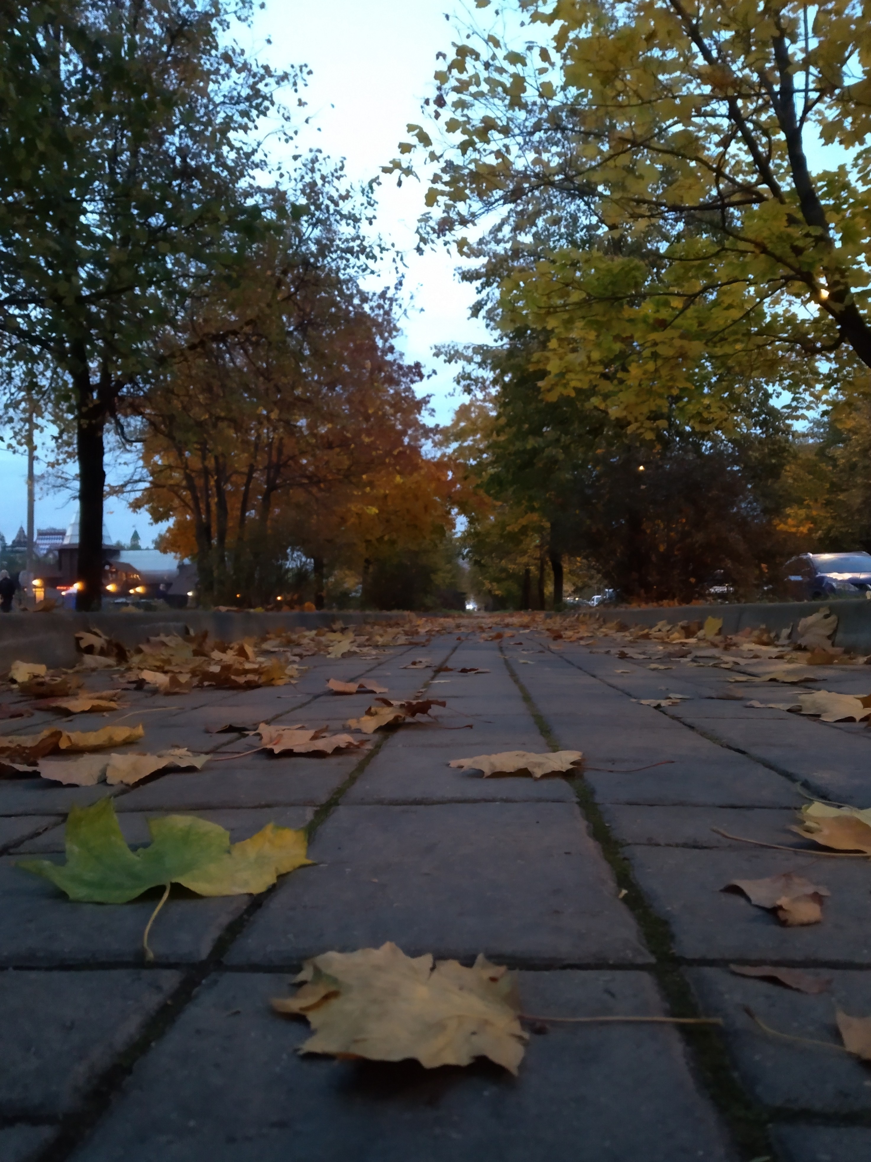 Фото участника: Андрей Мартынов