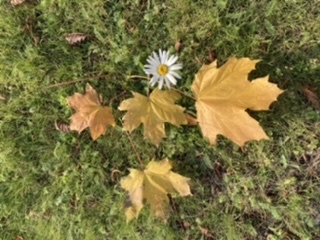 Фото участника: Ирина выборная