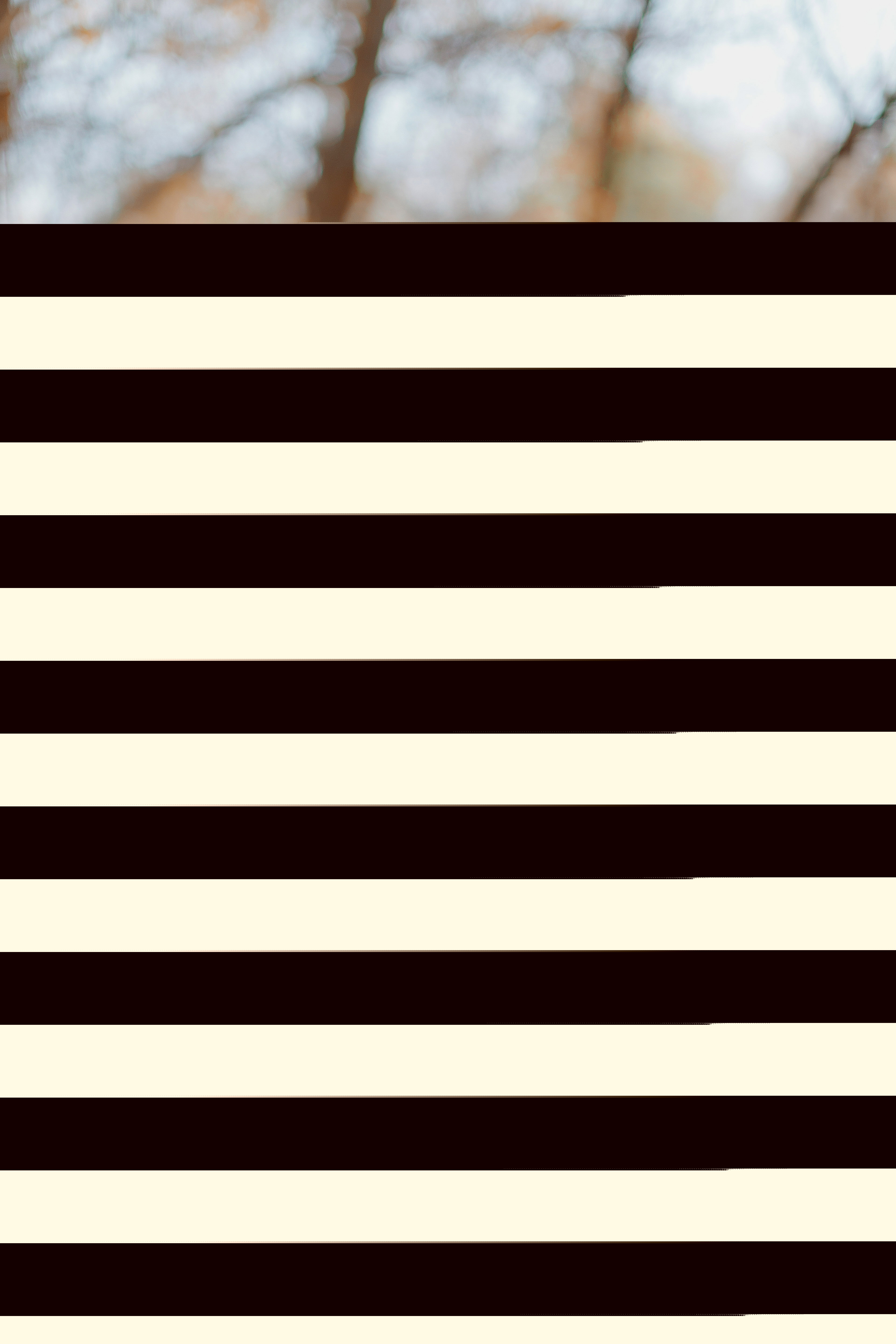 Фото участника: Попенко Светлана