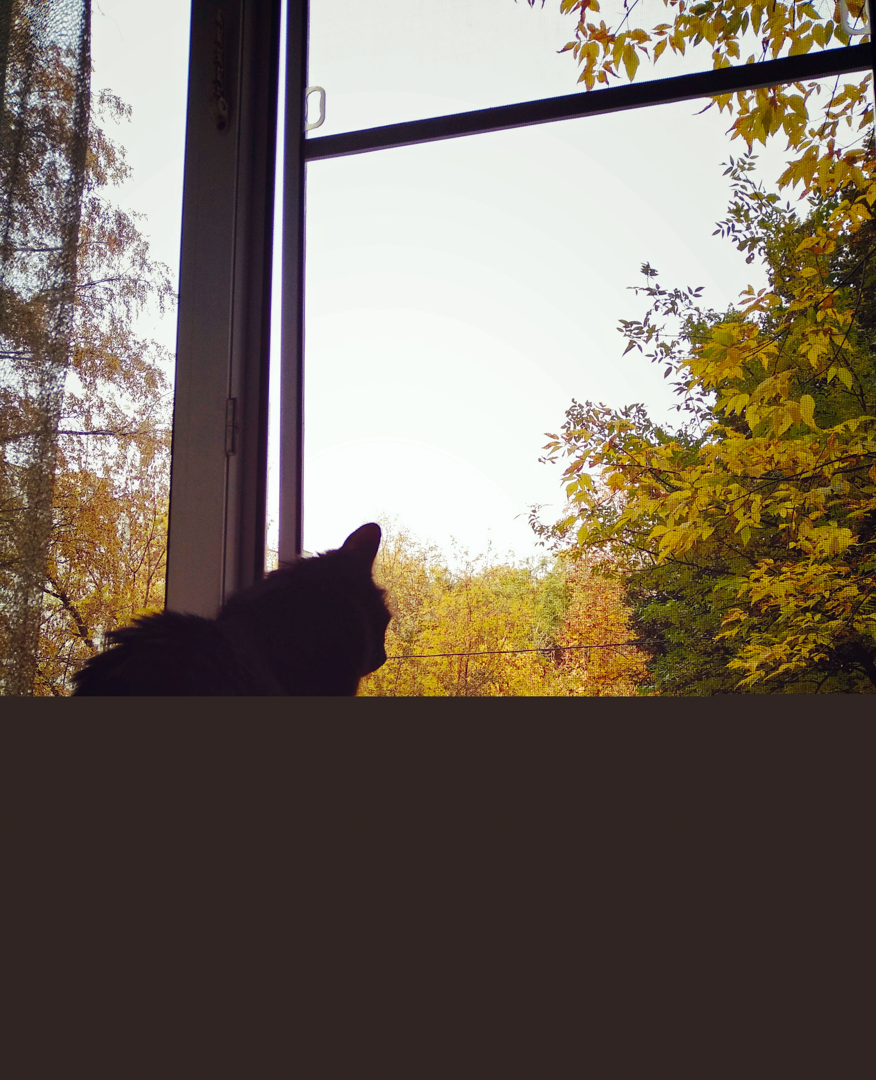 Фото участника: Анна Комарова