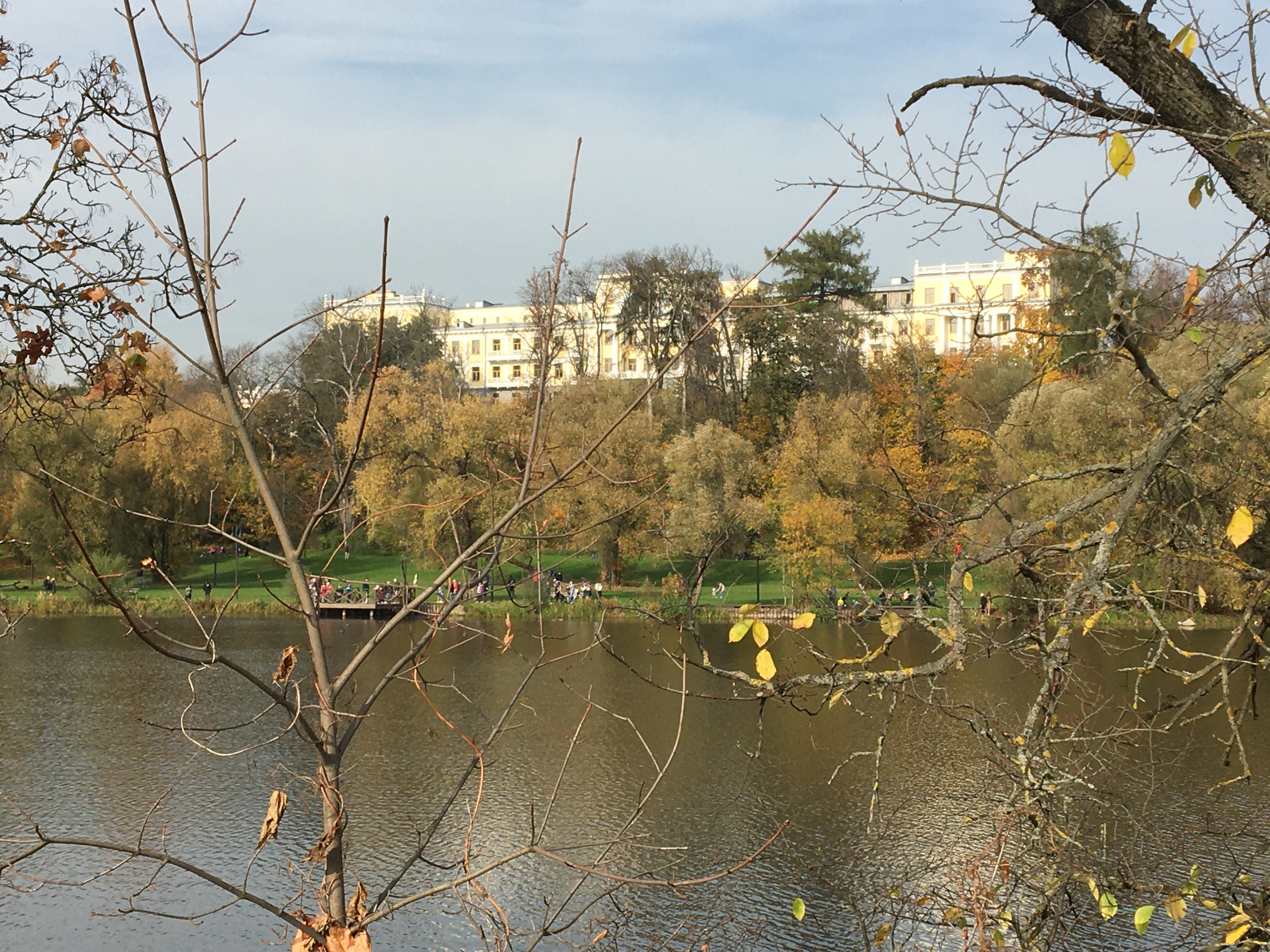Фото участника: Альбина Евдокимова
