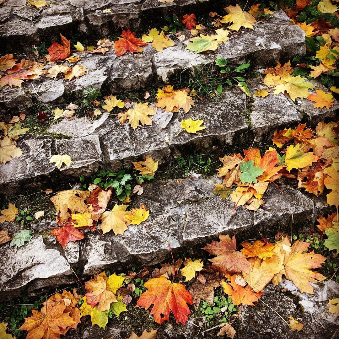 Фото участника: Антон Ланье