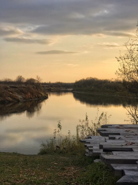 Фото участника: Ольга Мешкова