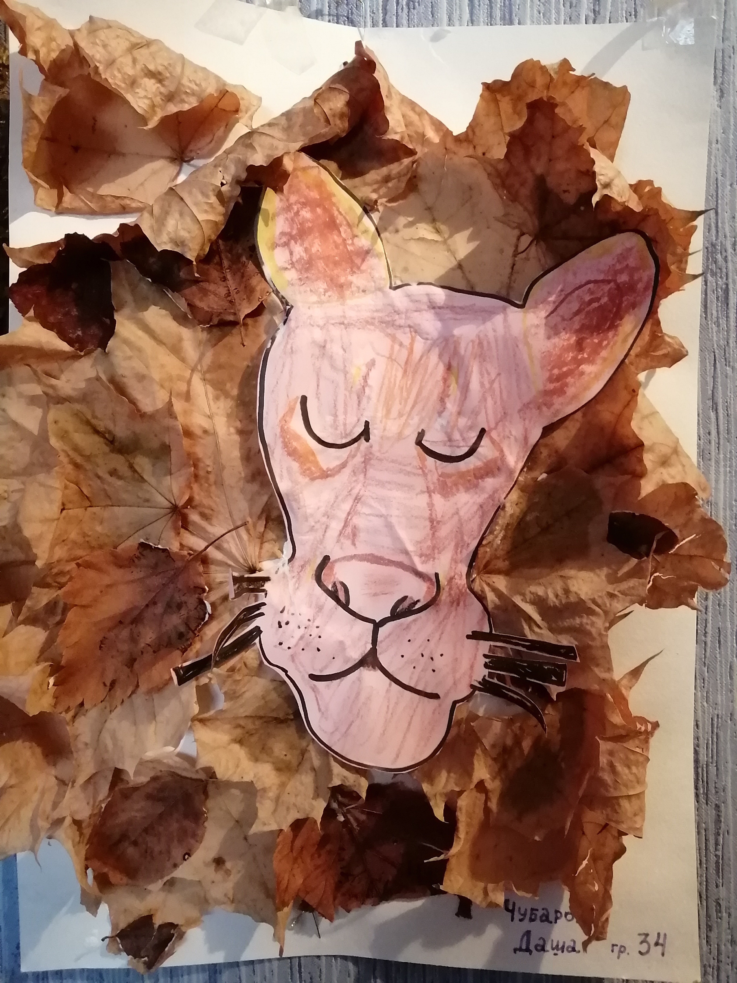 Фото участника: Чубаров Андрей