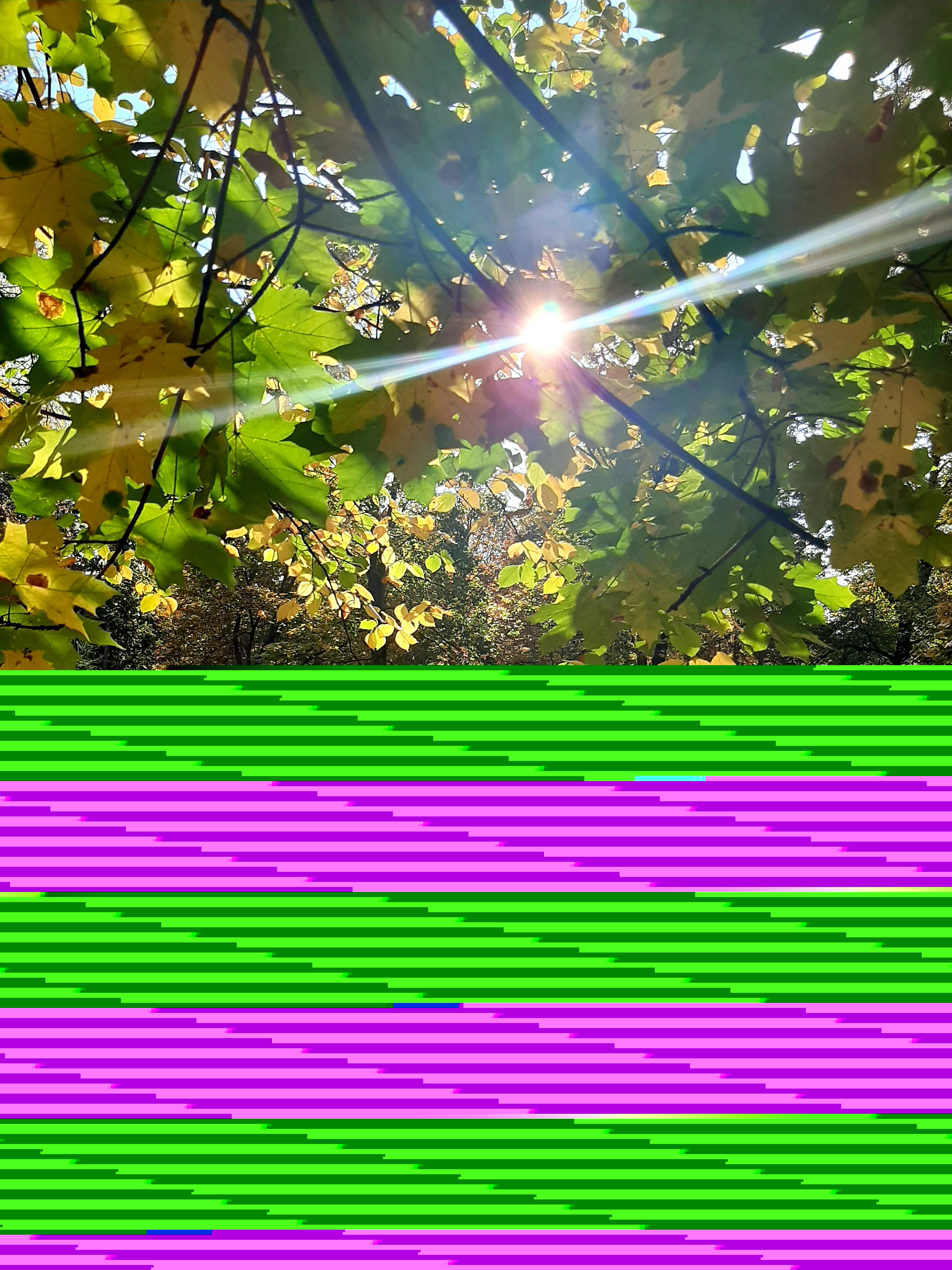 Фото участника: Романова Евгения Павловна