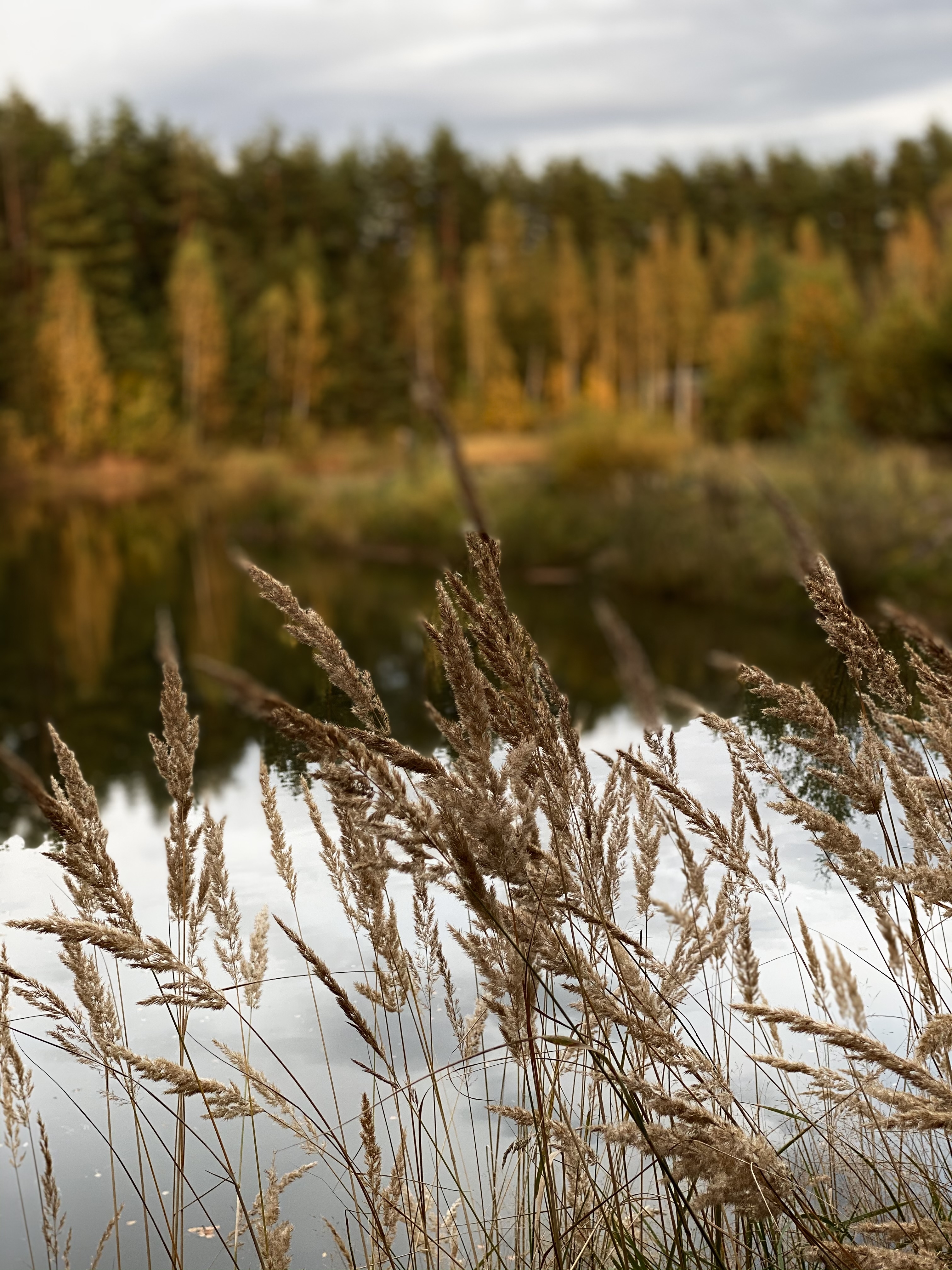 Фото участника: Эльвира Гайсина