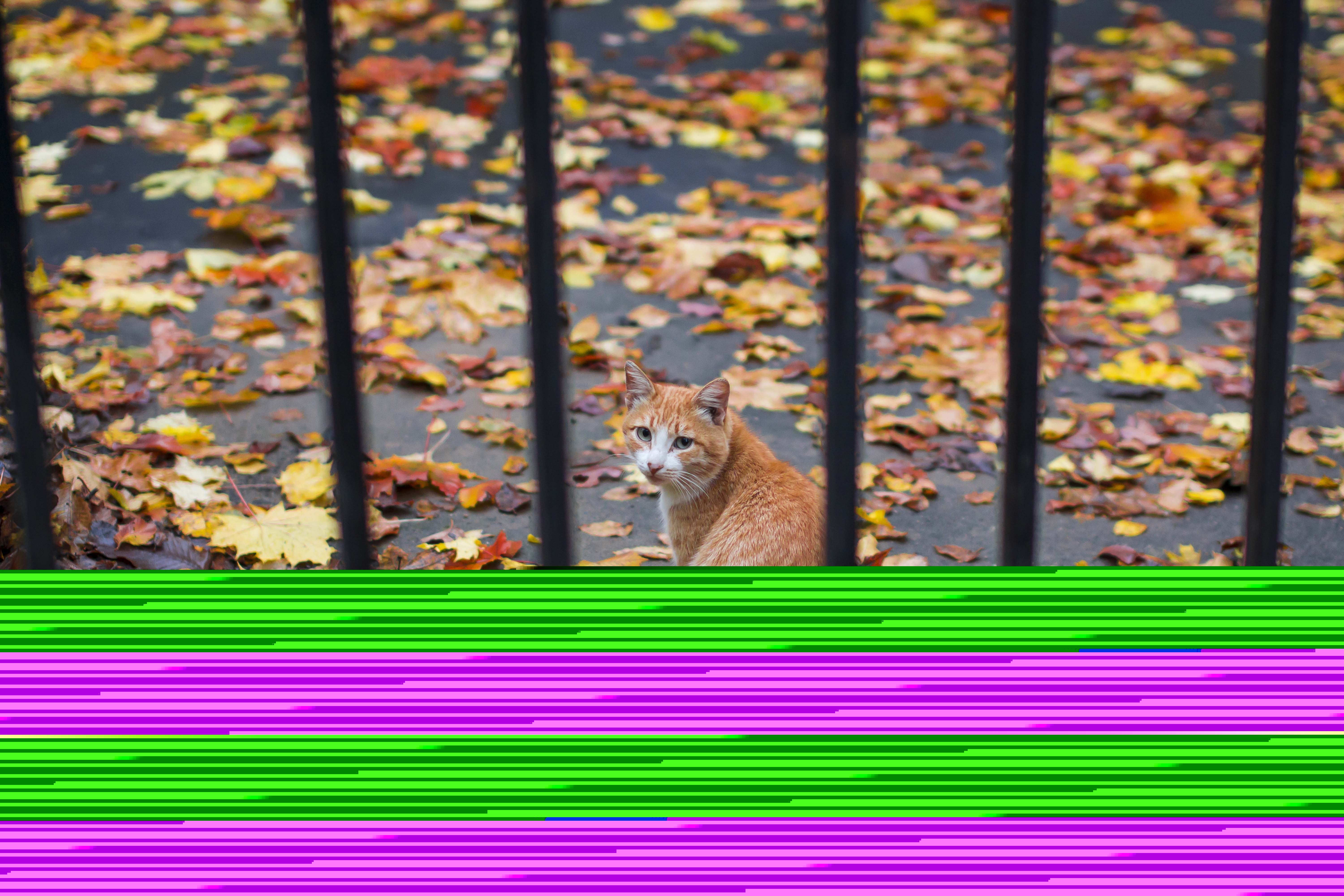 Фото участника: Медведев Сергей