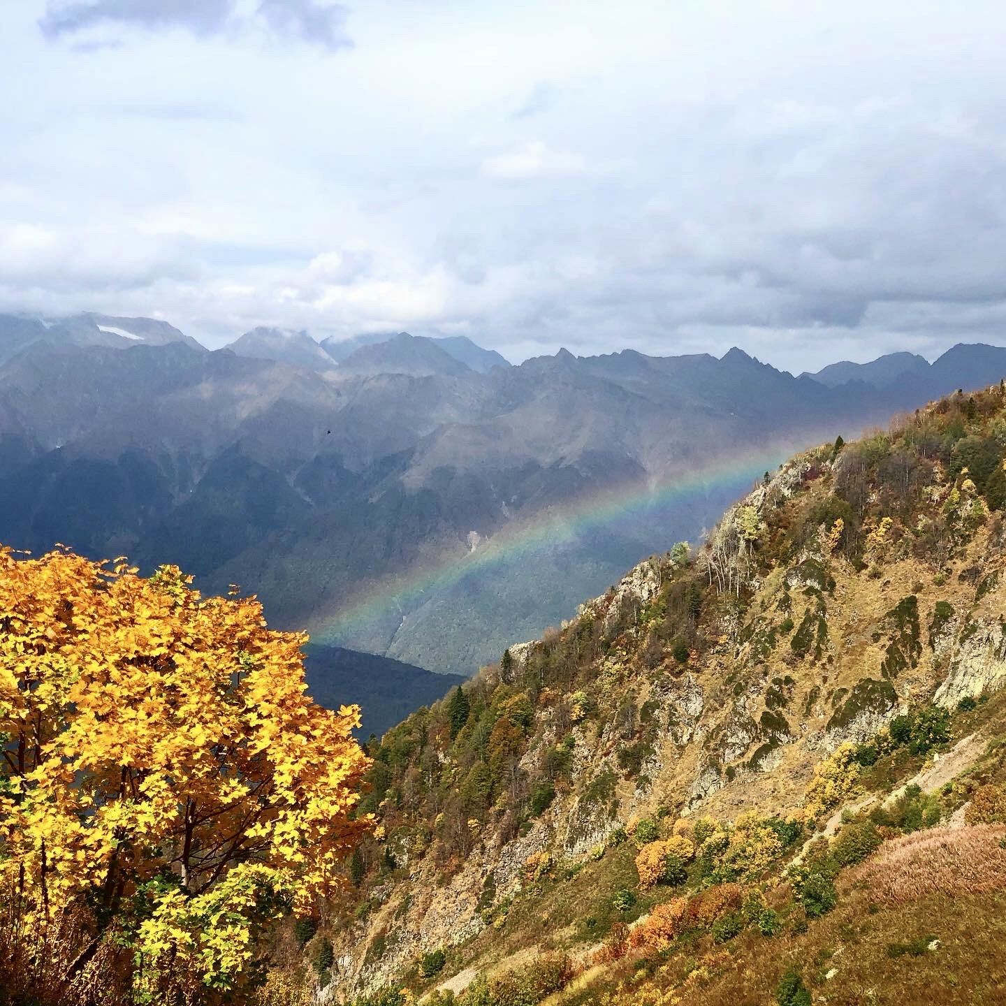 Фото участника: Лилия Абдуллина