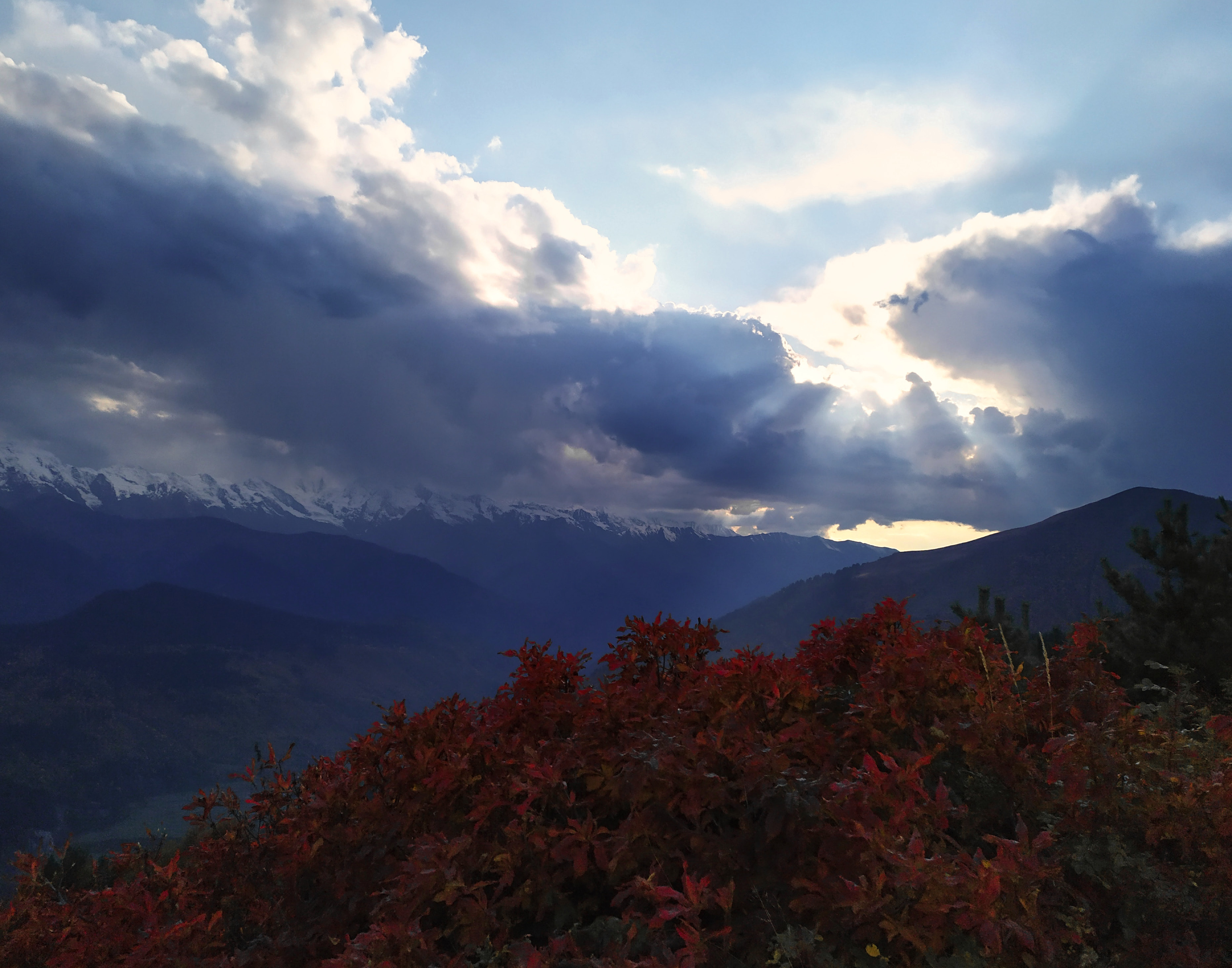 Фото участника: Ольга Быкова