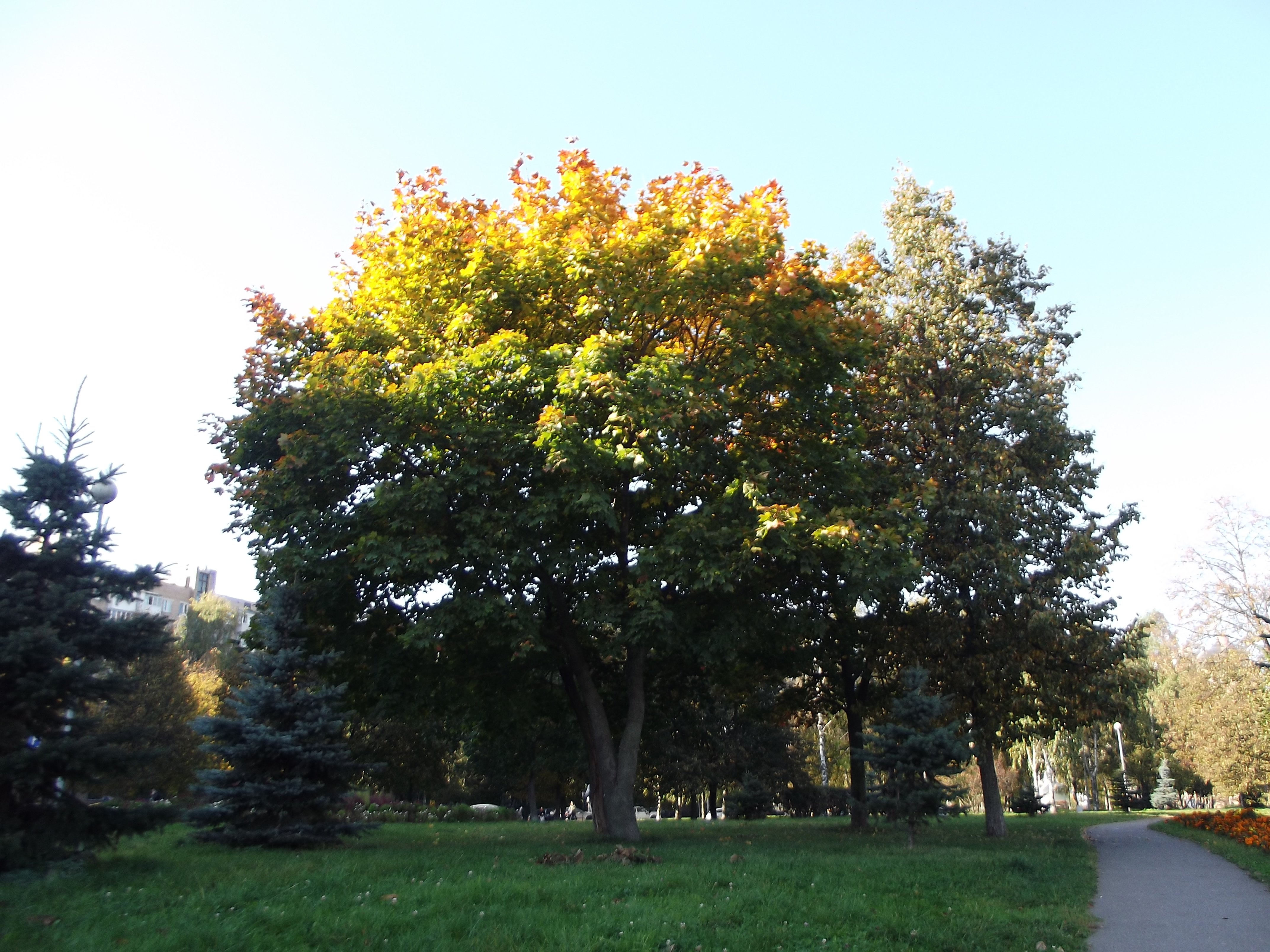 Фото участника: Седов Владимир