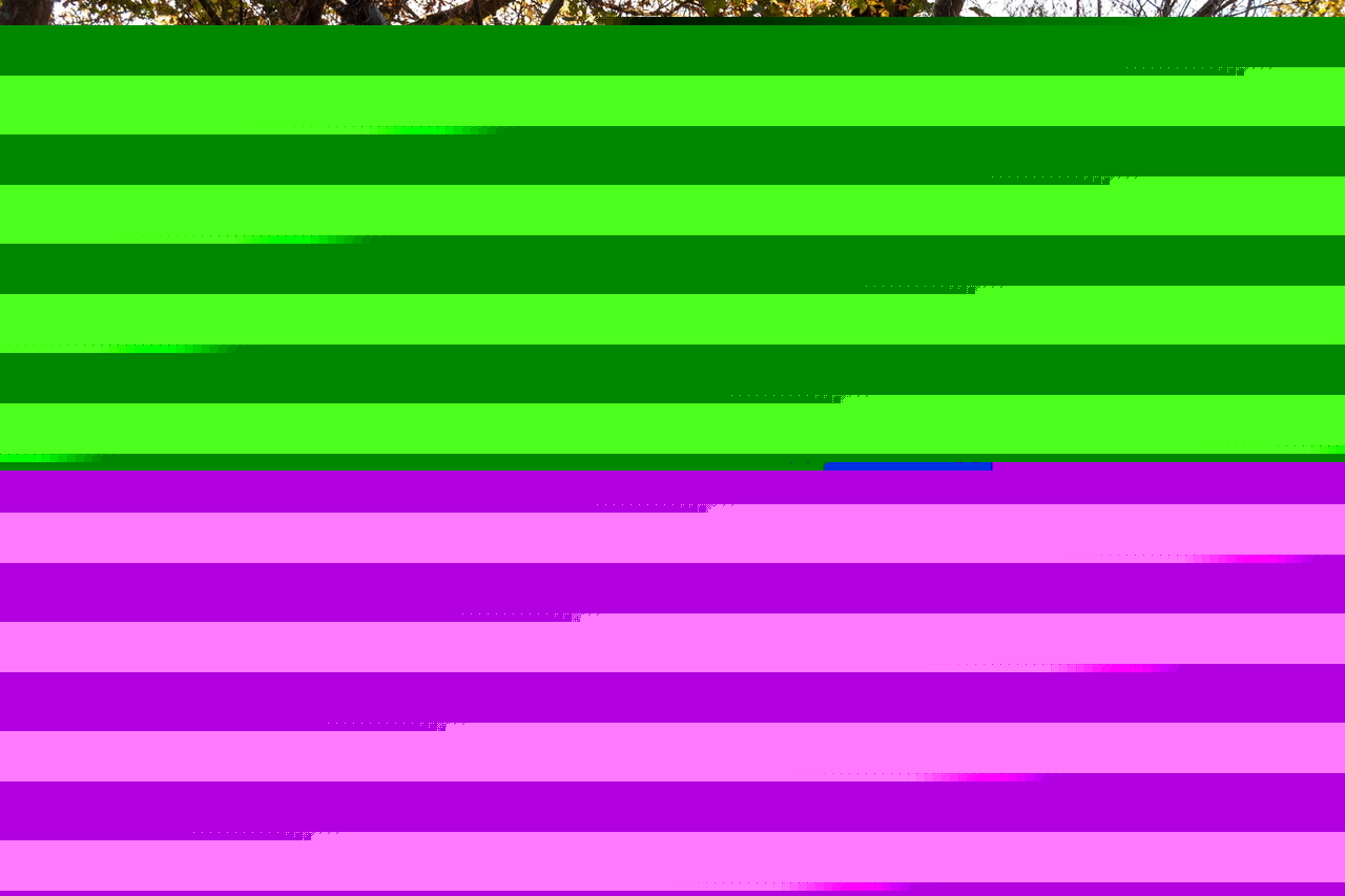 Фото участника: Леонид Булах