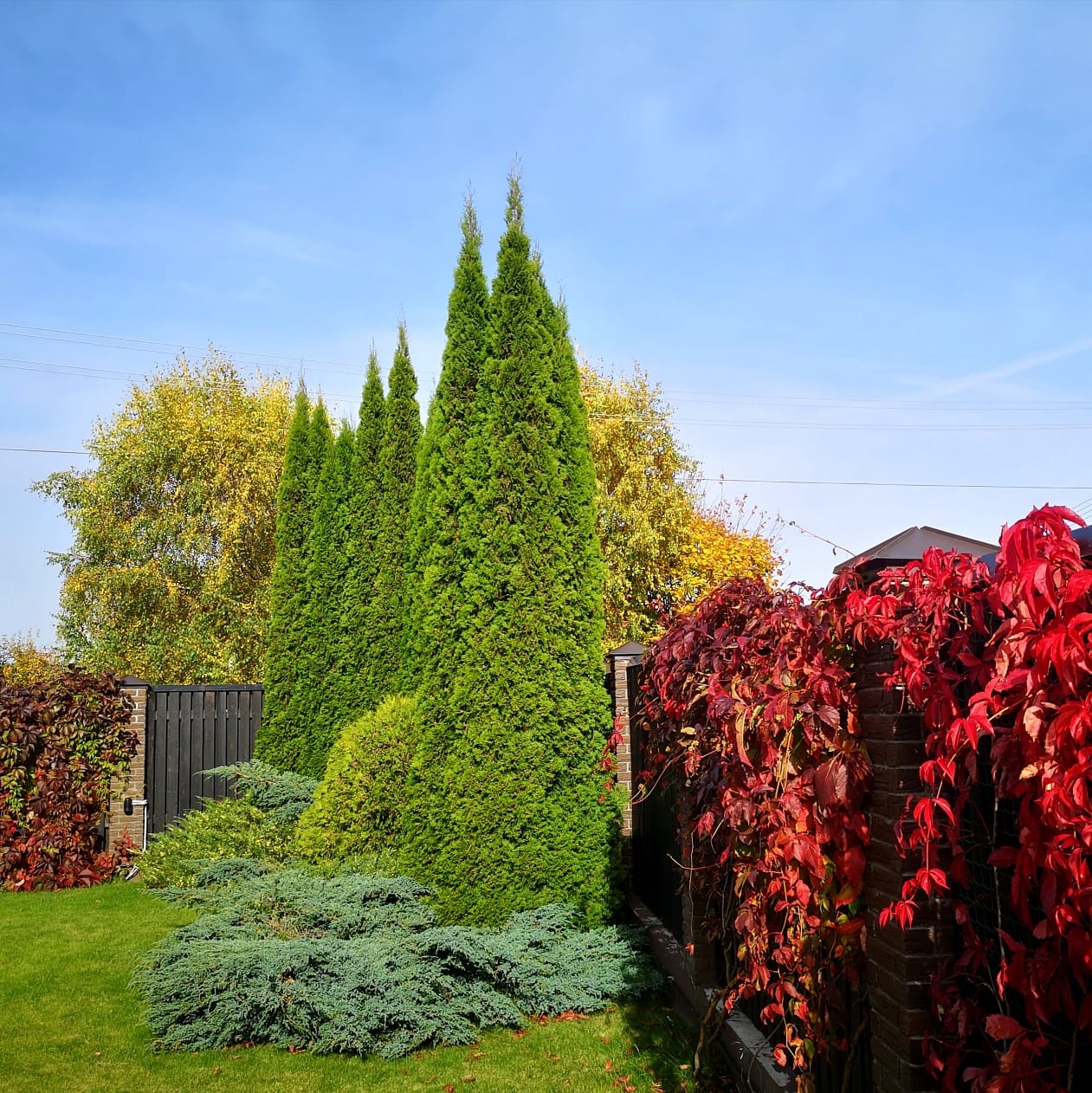 Фото участника: Ирина Роля