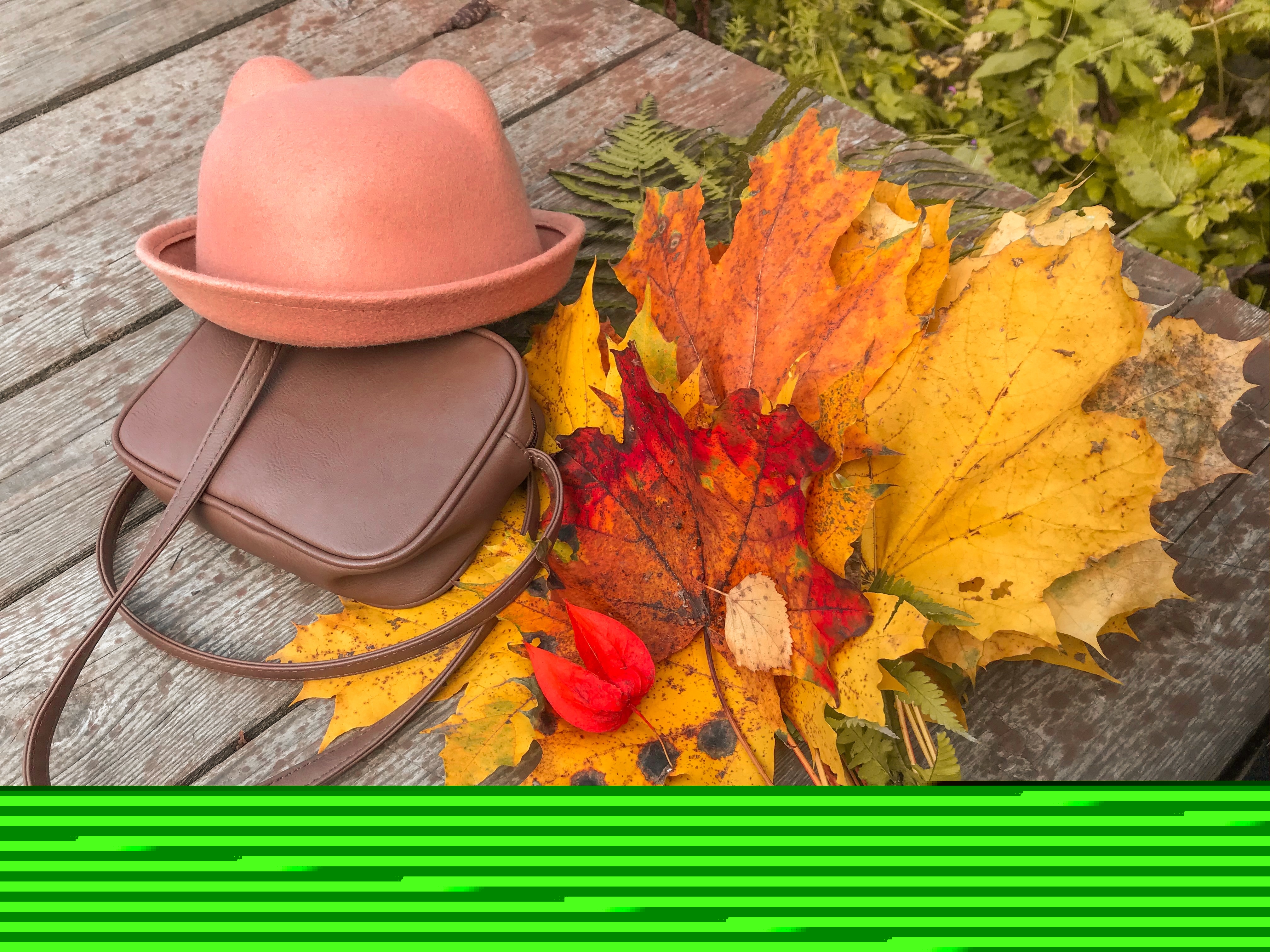 Фото участника: Ирина Павлова