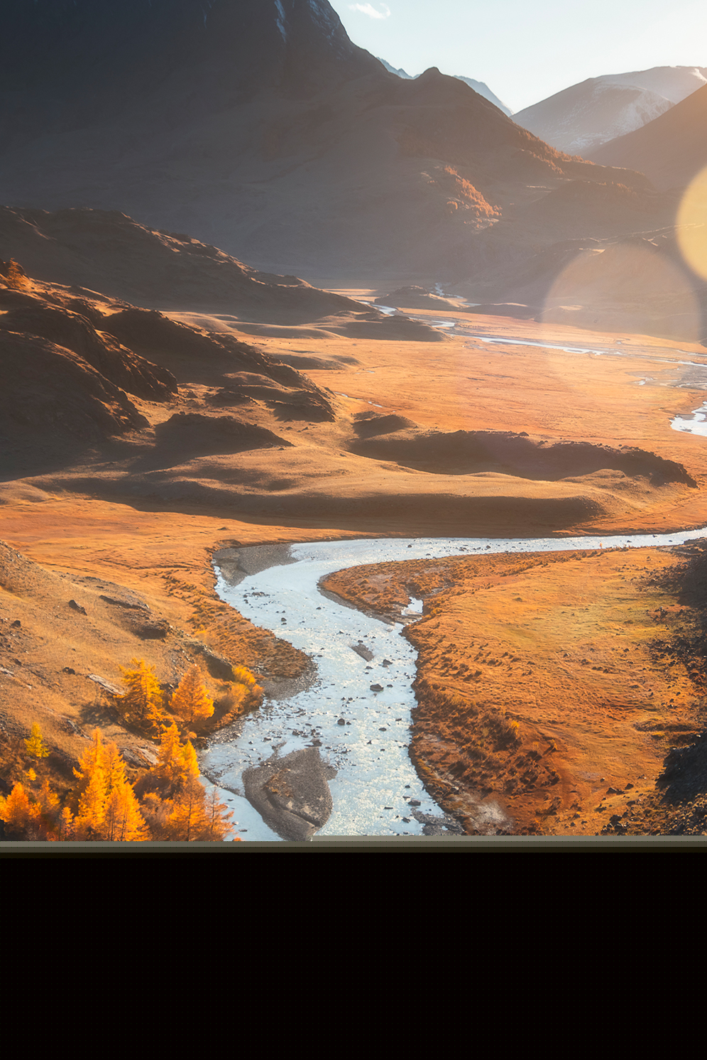 Фото участника: Михаил Борзов