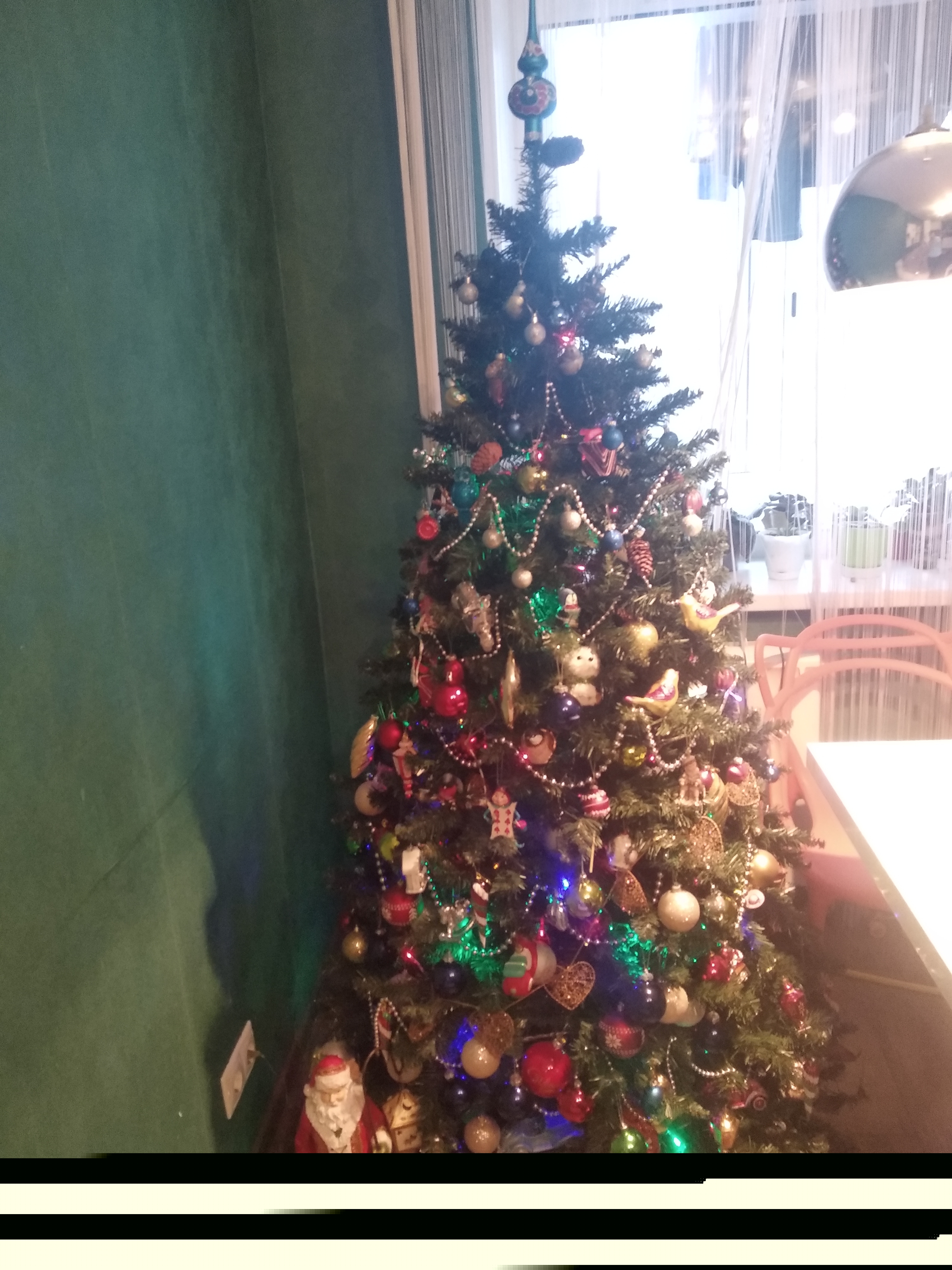 Фото участника: Елена Иванюкович