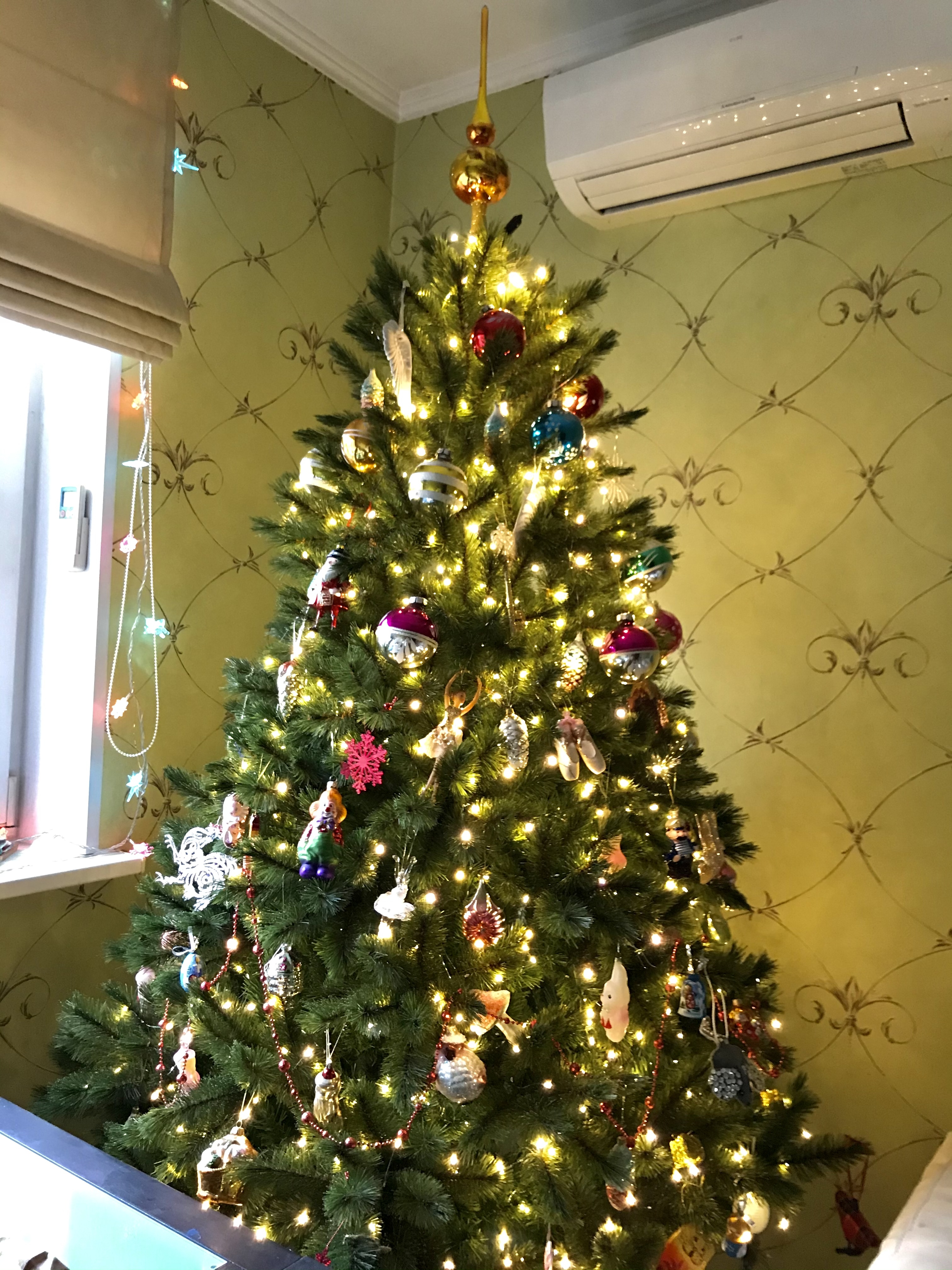 Фото участника: Виктория Полищук