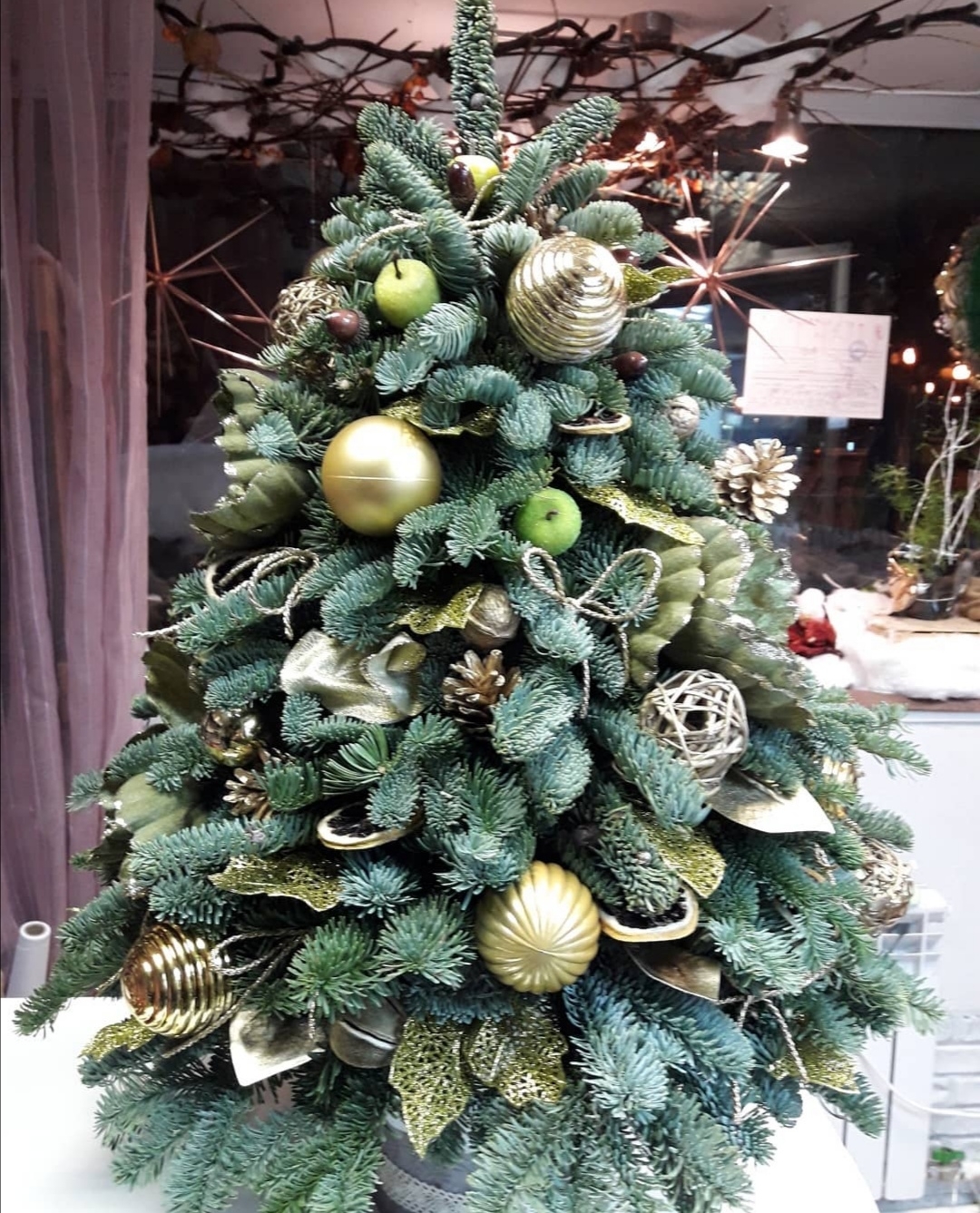 Фото участника: Рита Горчакова