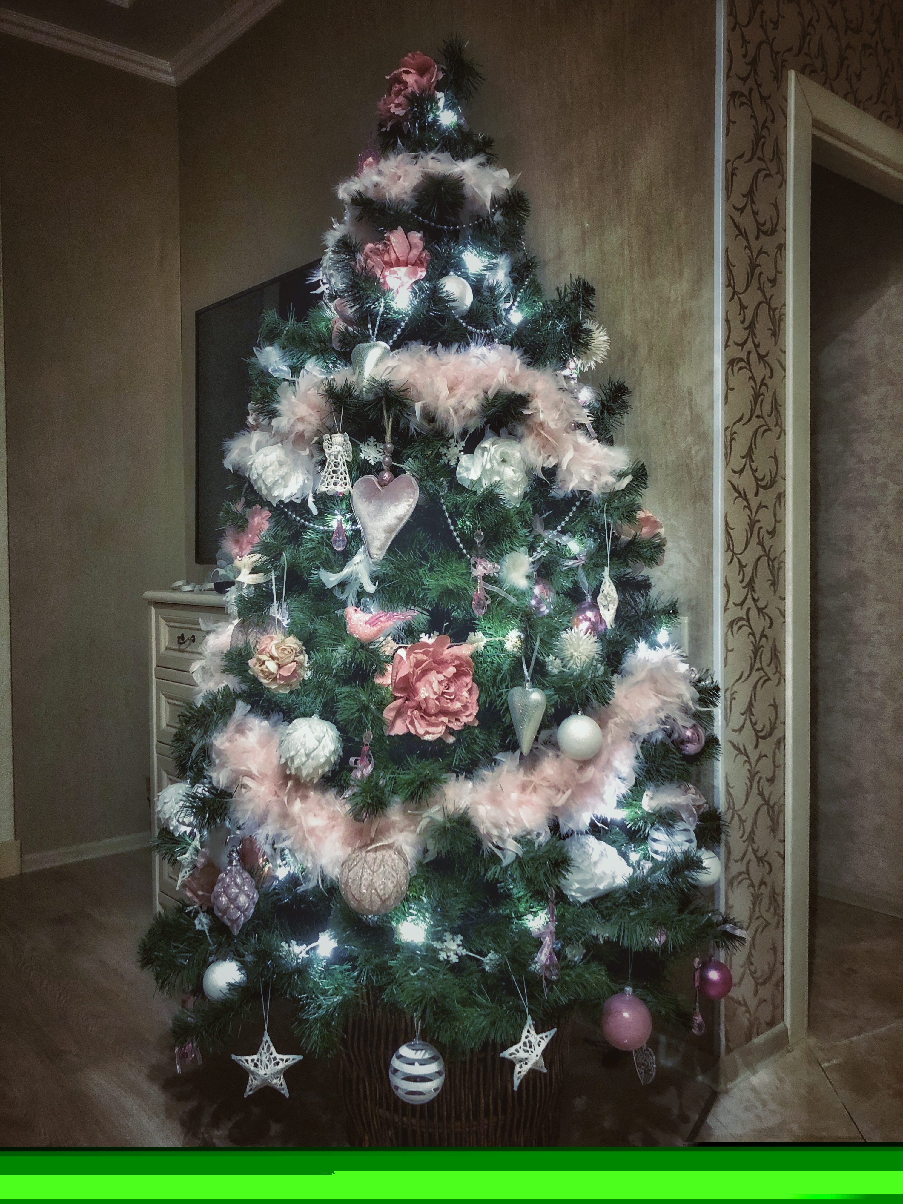 Фото участника: Александра Коршунова