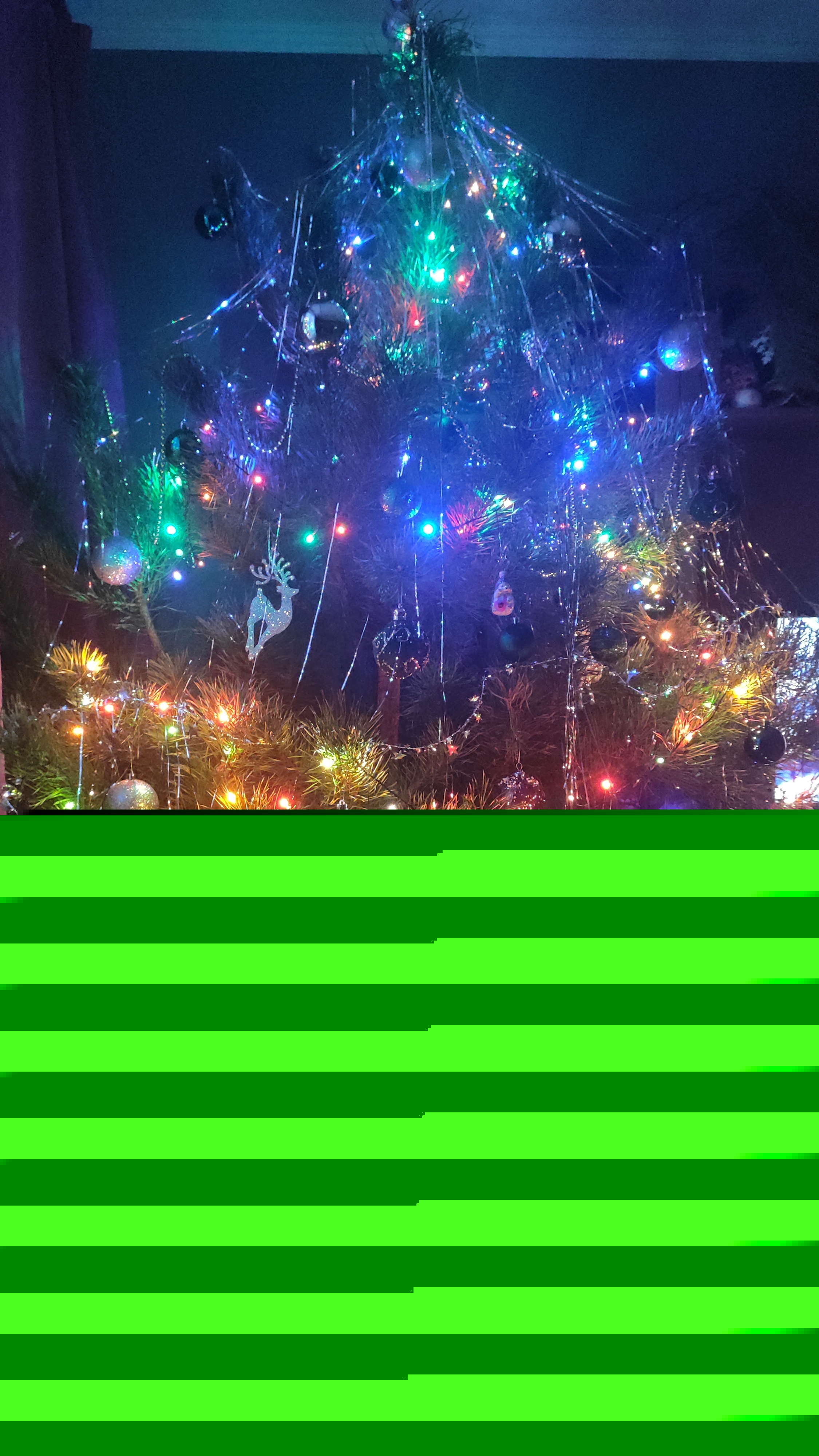 Фото участника: Елена Хараборкина