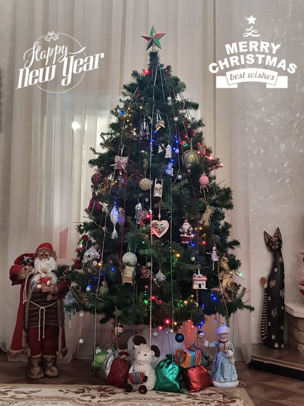 Фото участника: Ольга Сафонова