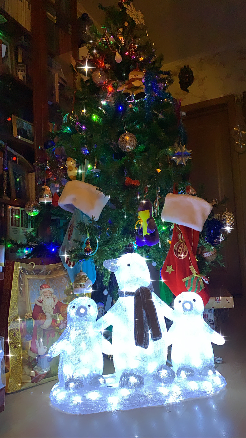 Фото участника: Анастасия Критарова