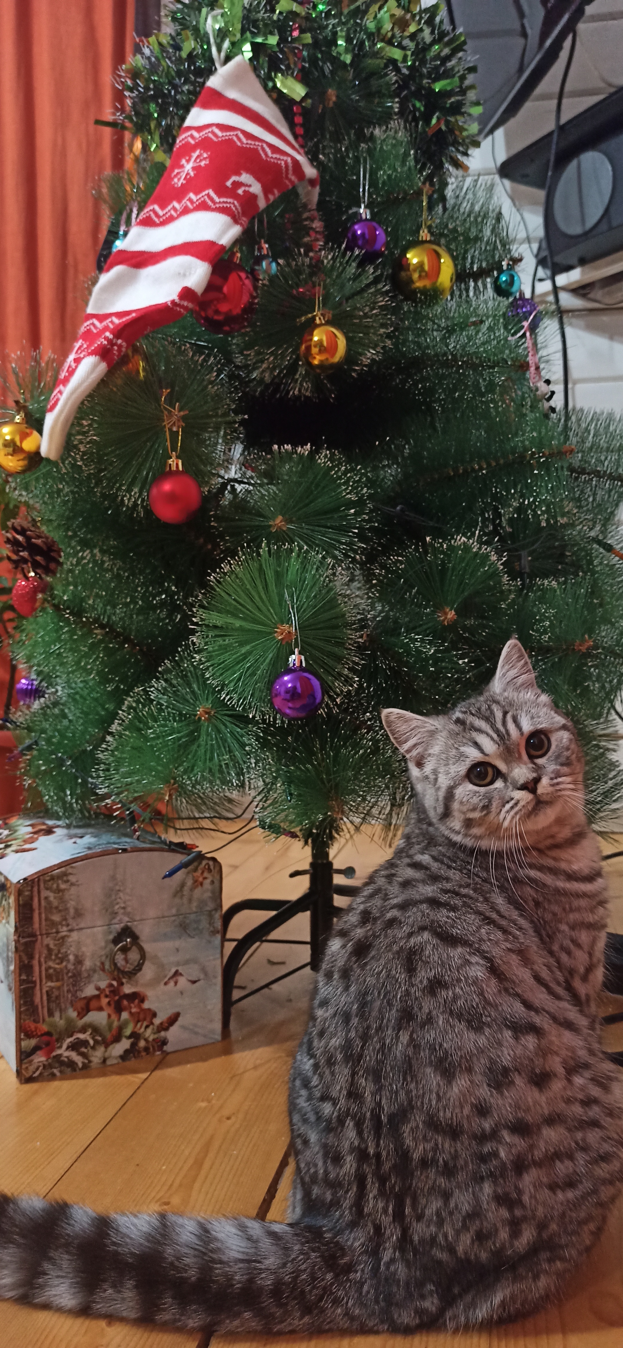 Фото участника: Эльза Гайсина