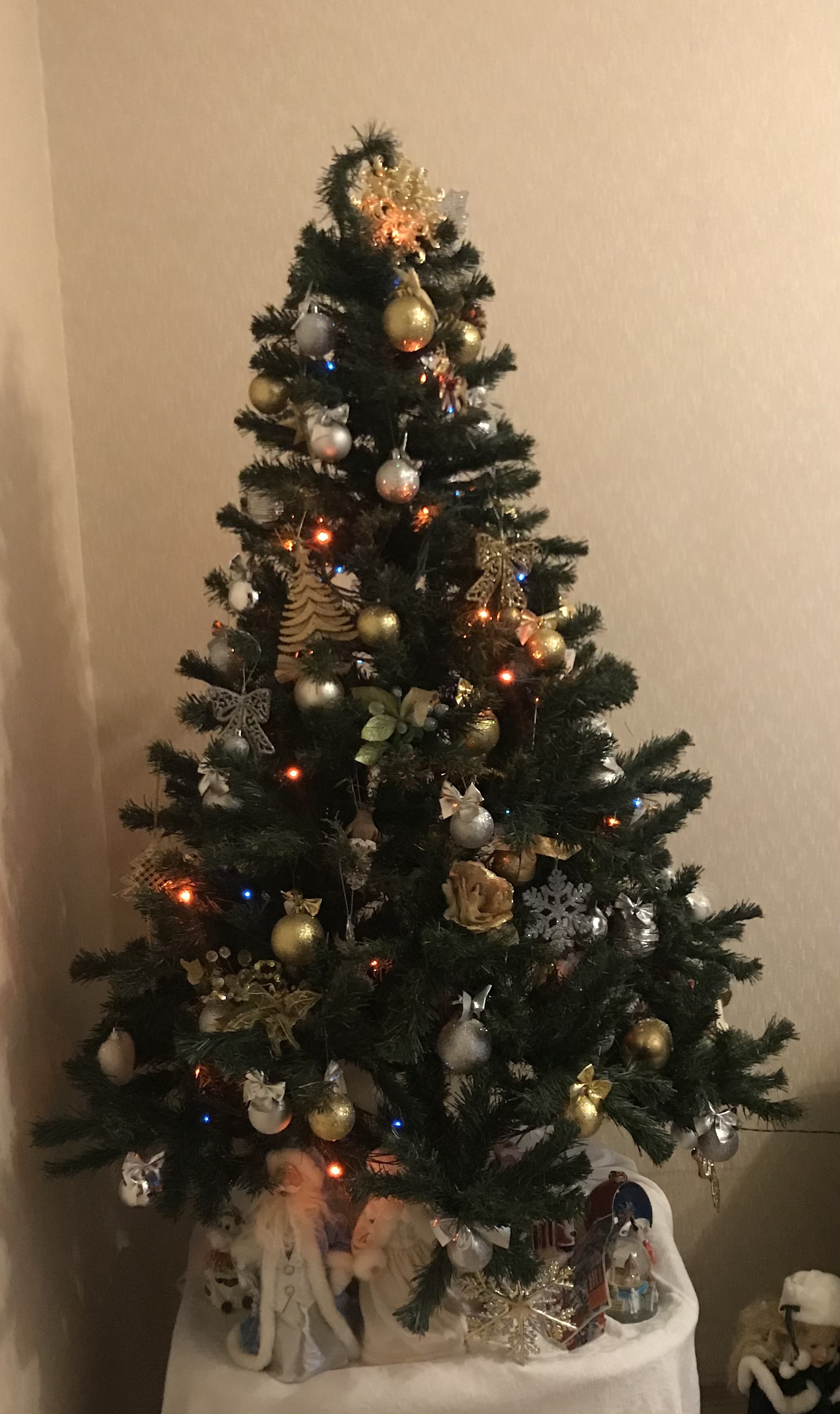 Фото участника: Ширяева Александра Ширяева