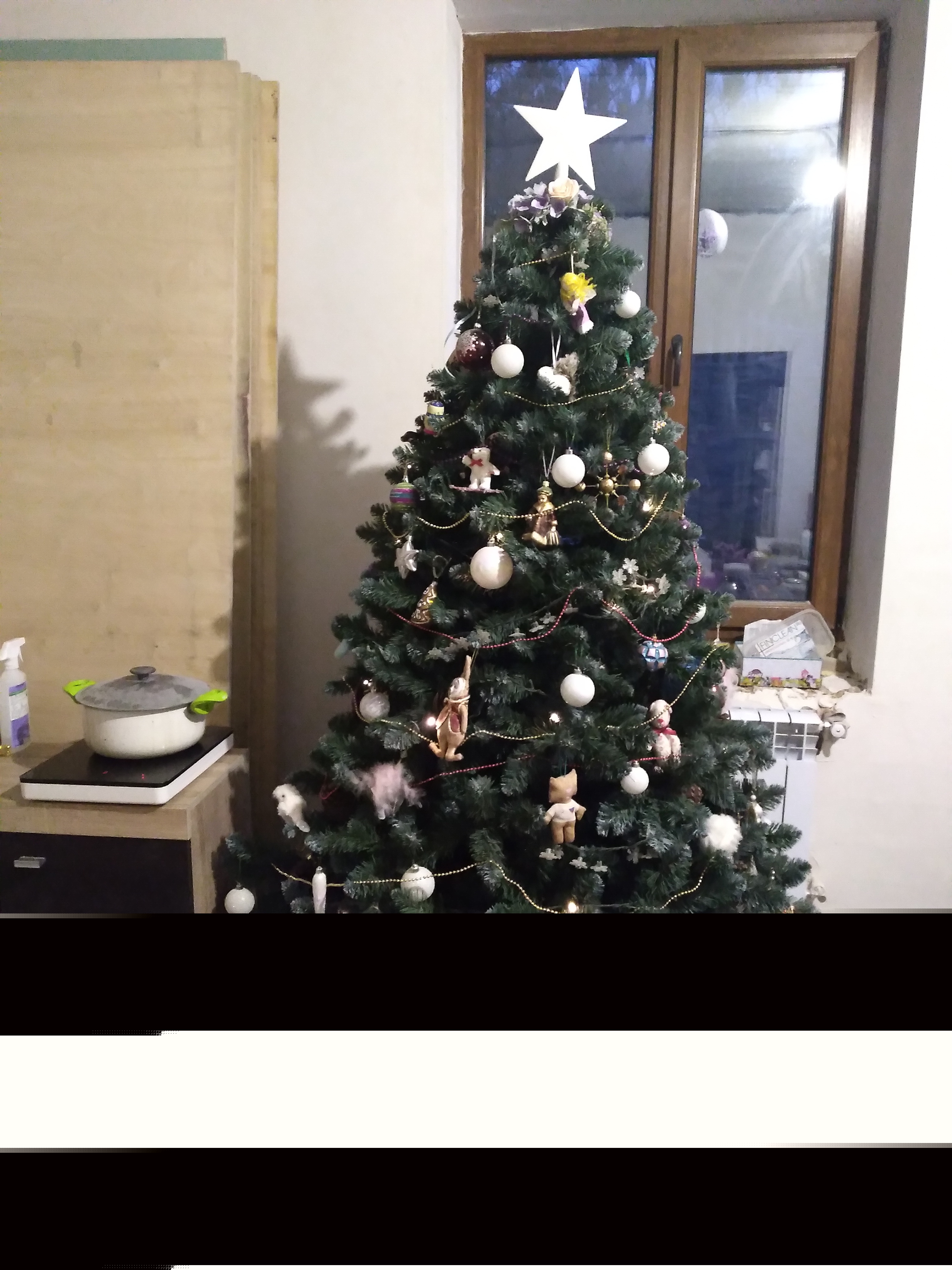 Фото участника: Юлия Субботина