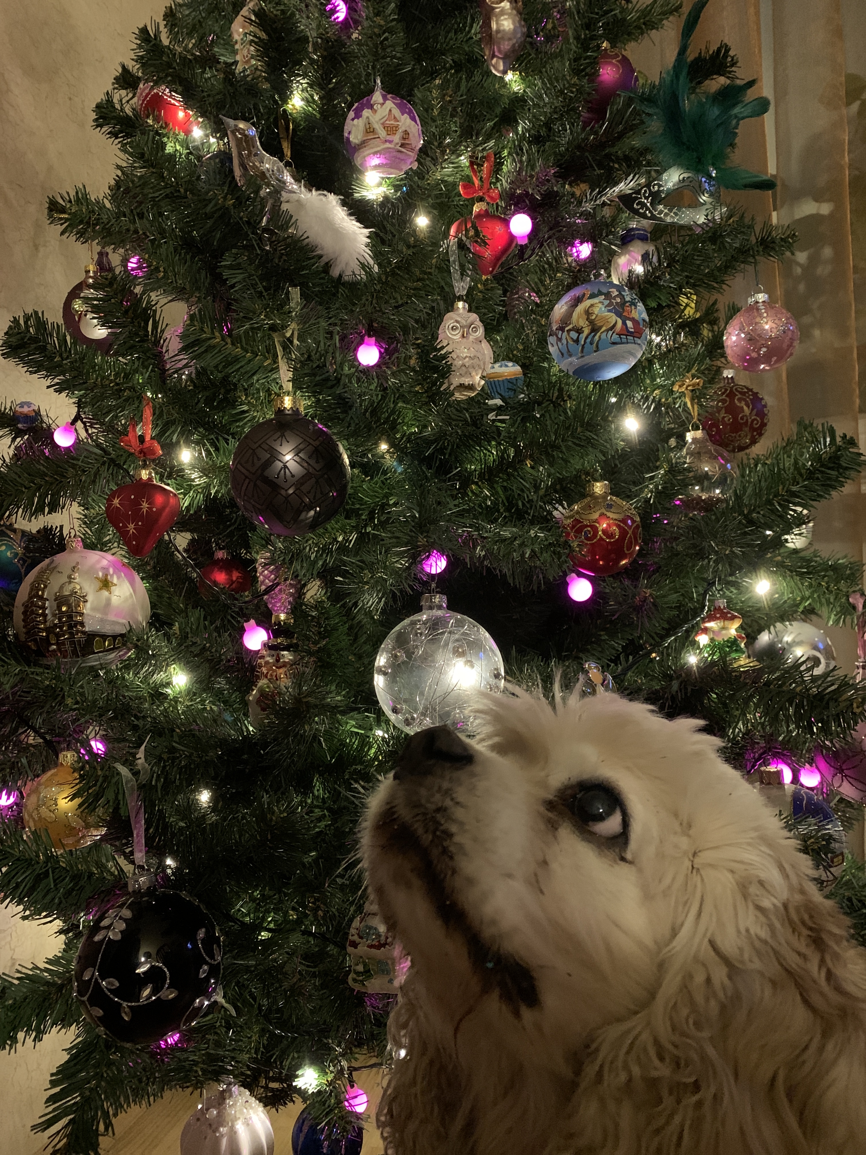 Фото участника: Матросова Наталья