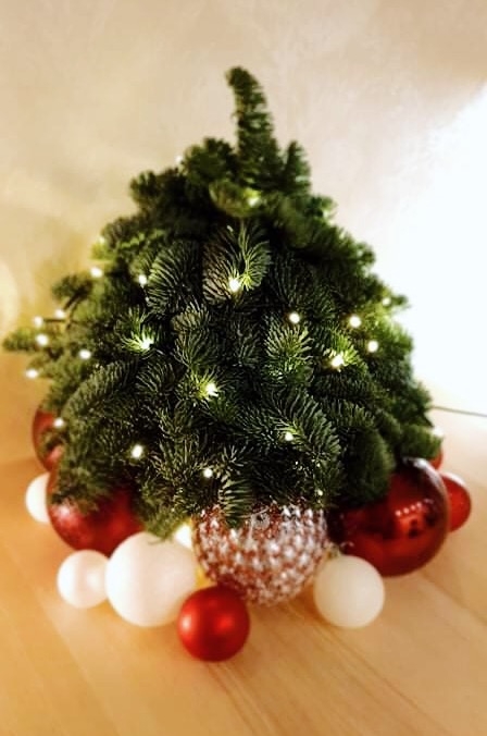 Фото участника: Инесса Ставила