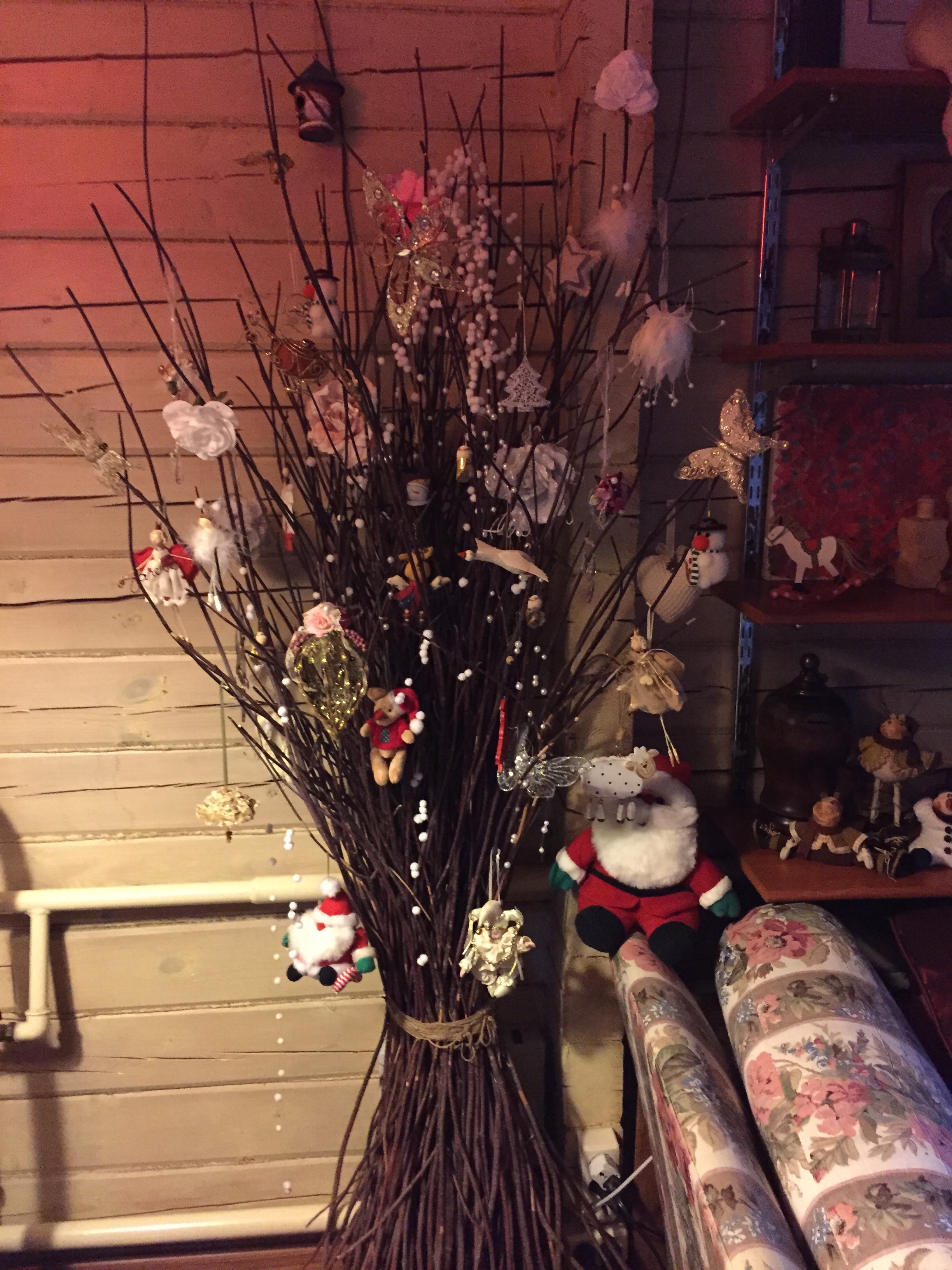 Фото участника: Золотых Людмила Петровна