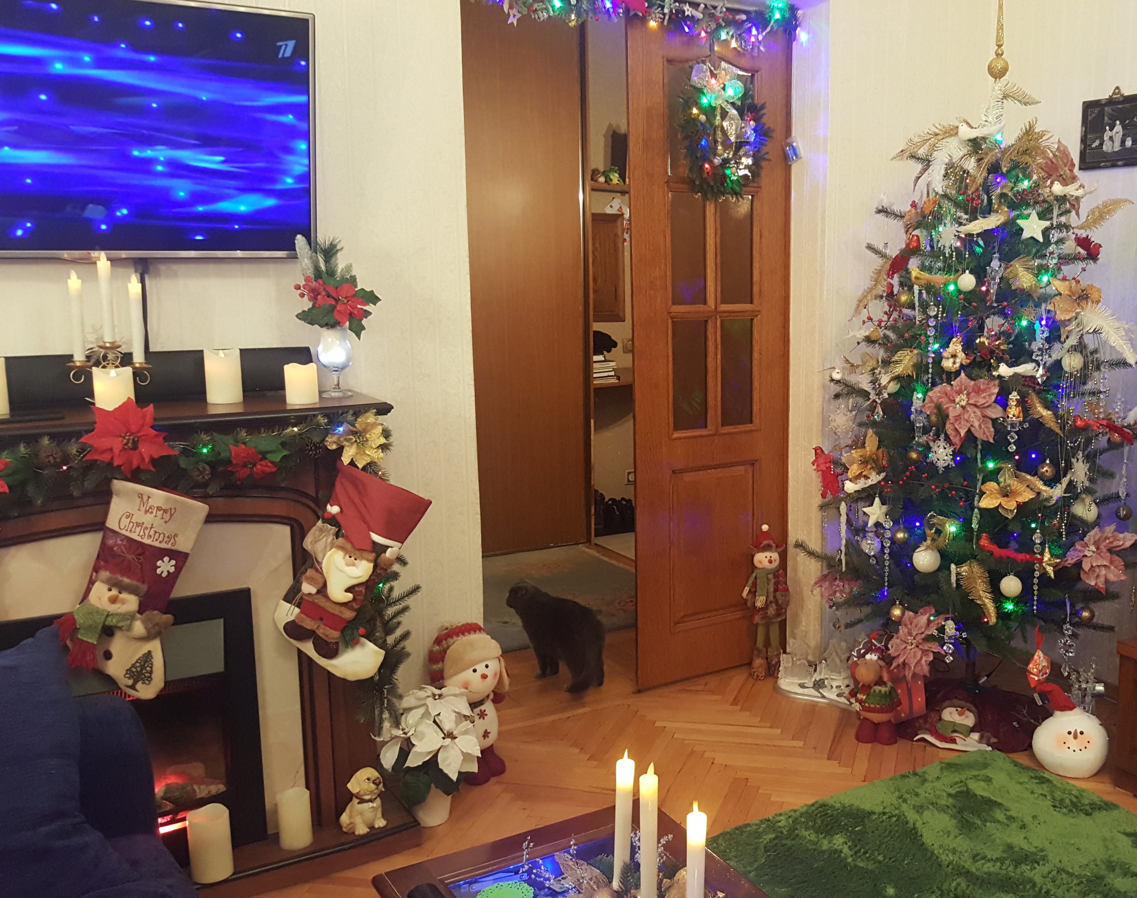 Фото участника: Ирина Герасименко