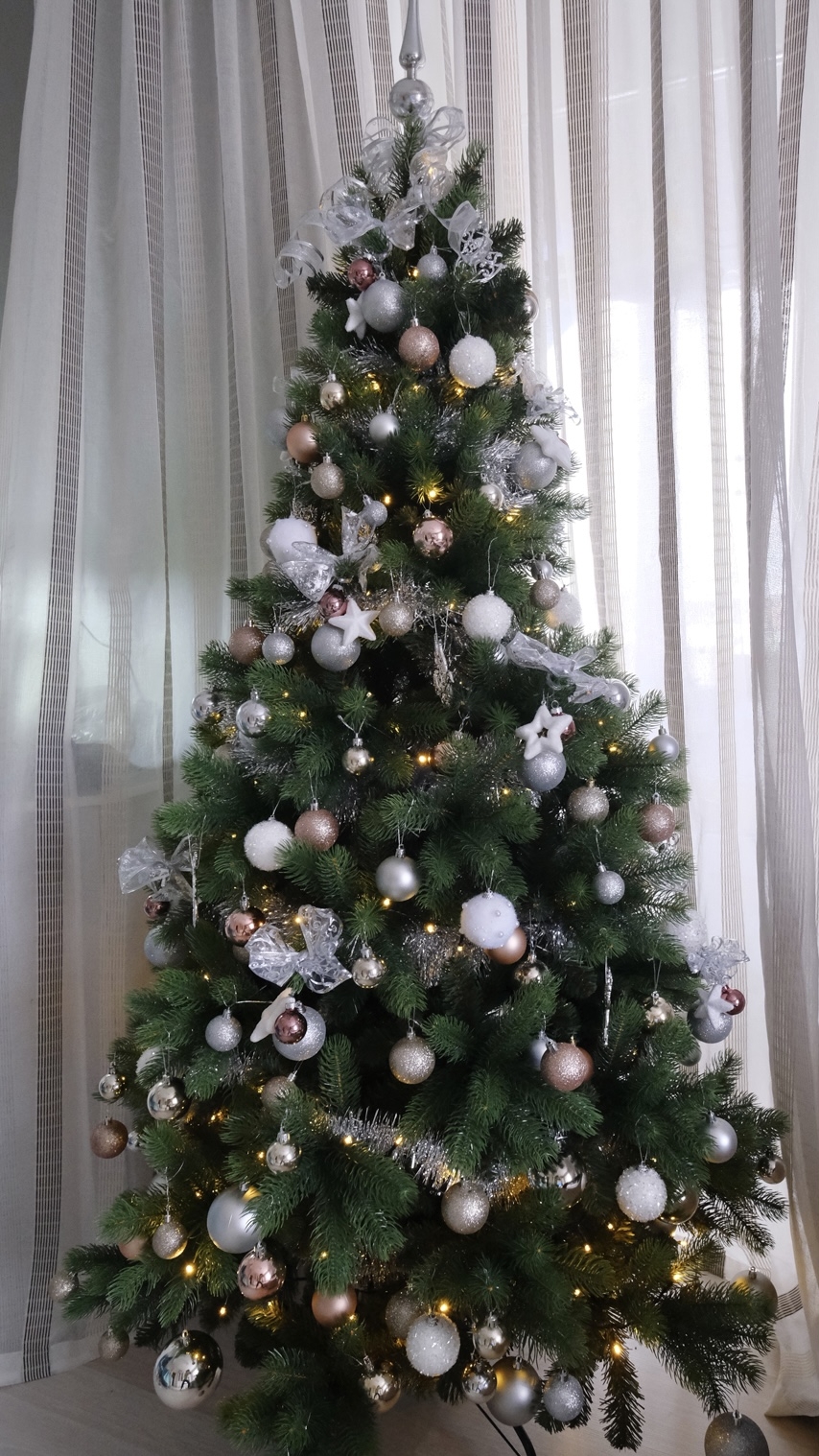 Фото участника: Мильшина Мария