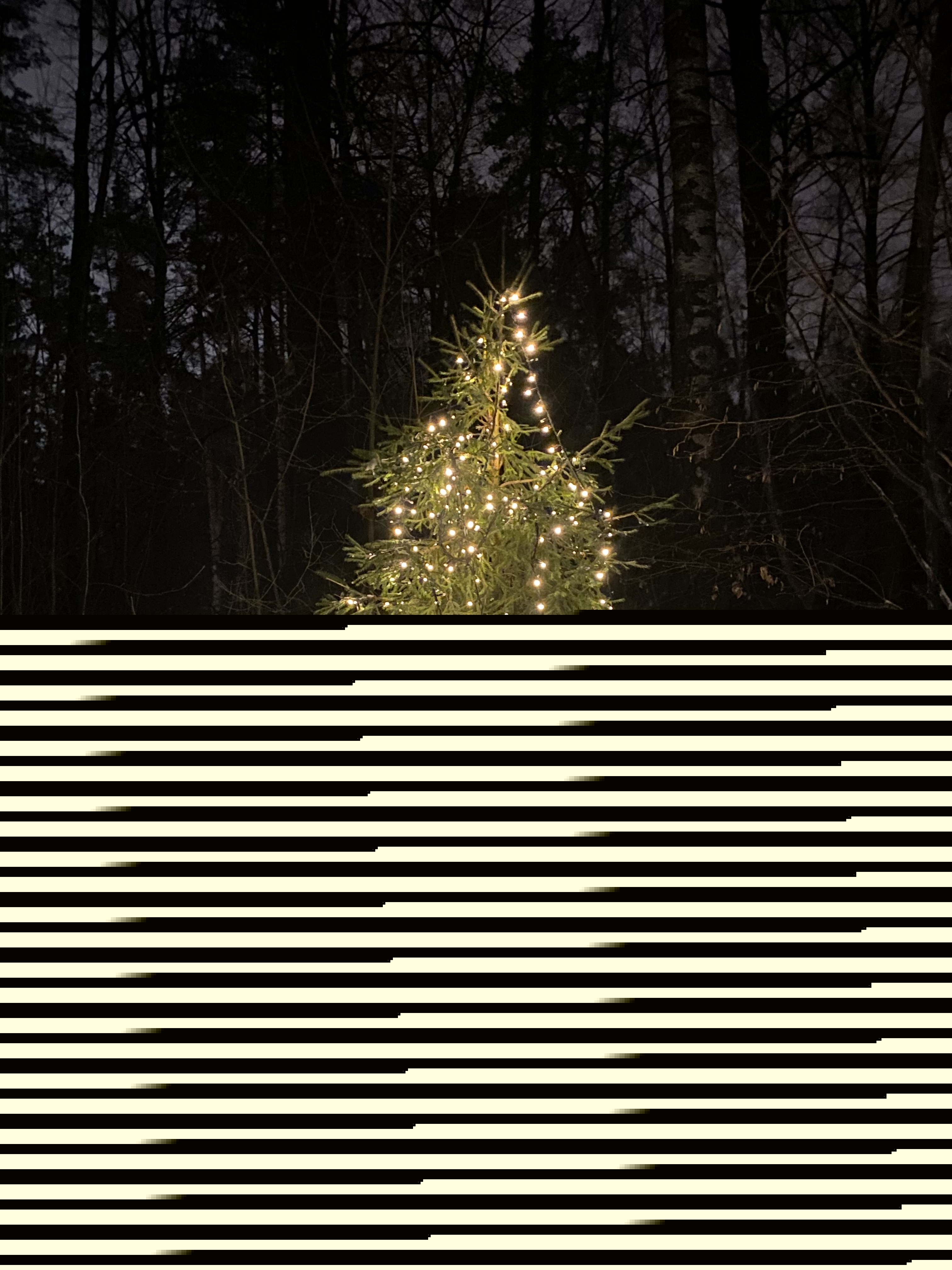 Фото участника: Татьяна Тойч