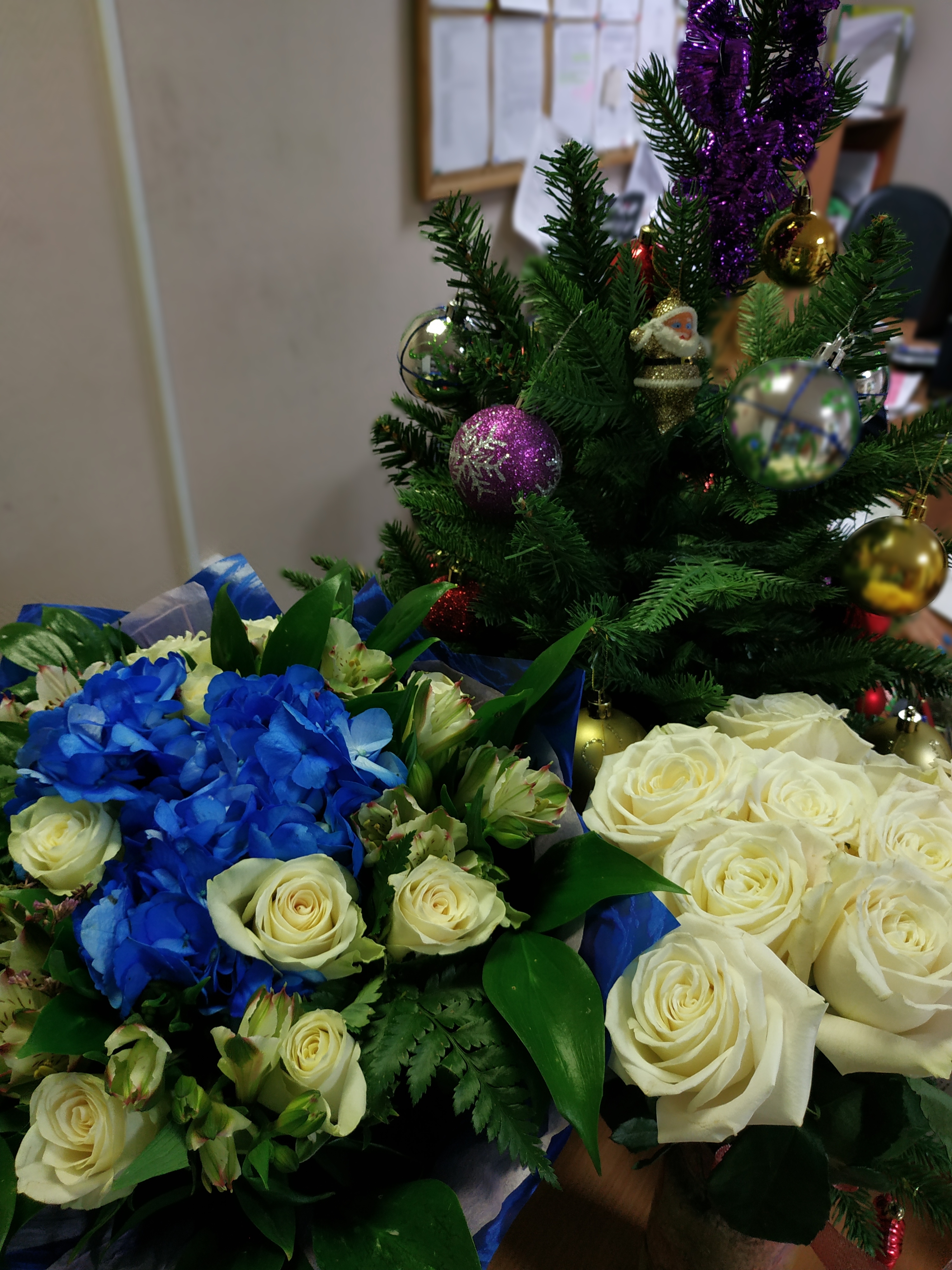 Фото участника: Ирина Крупнова