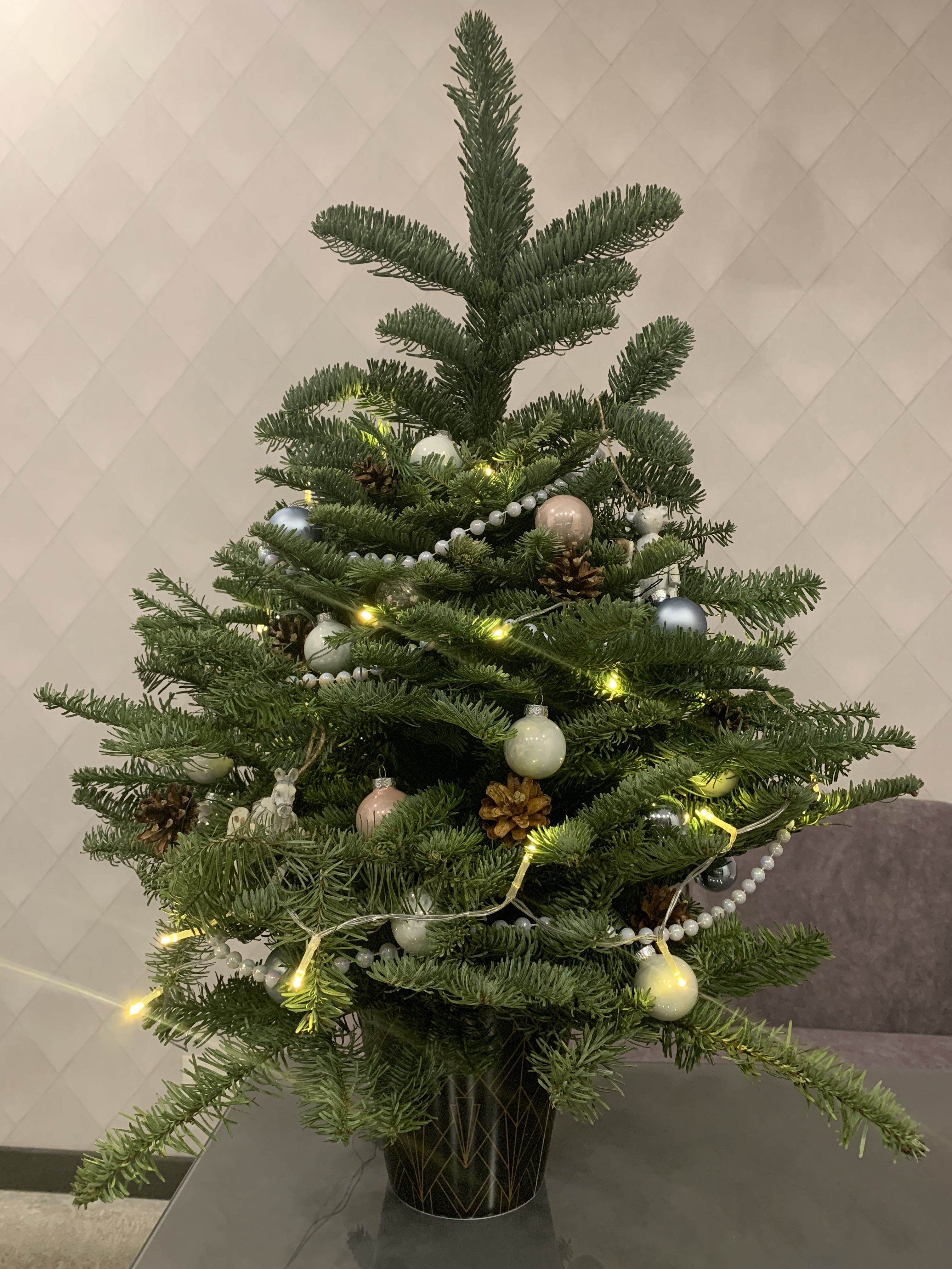 Фото участника: Ульянова Анна