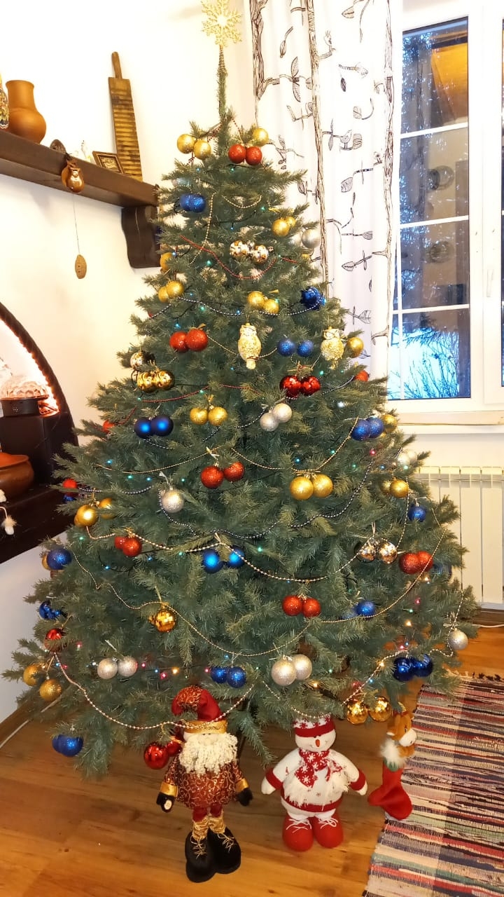 Фото участника: Александр Лямцев